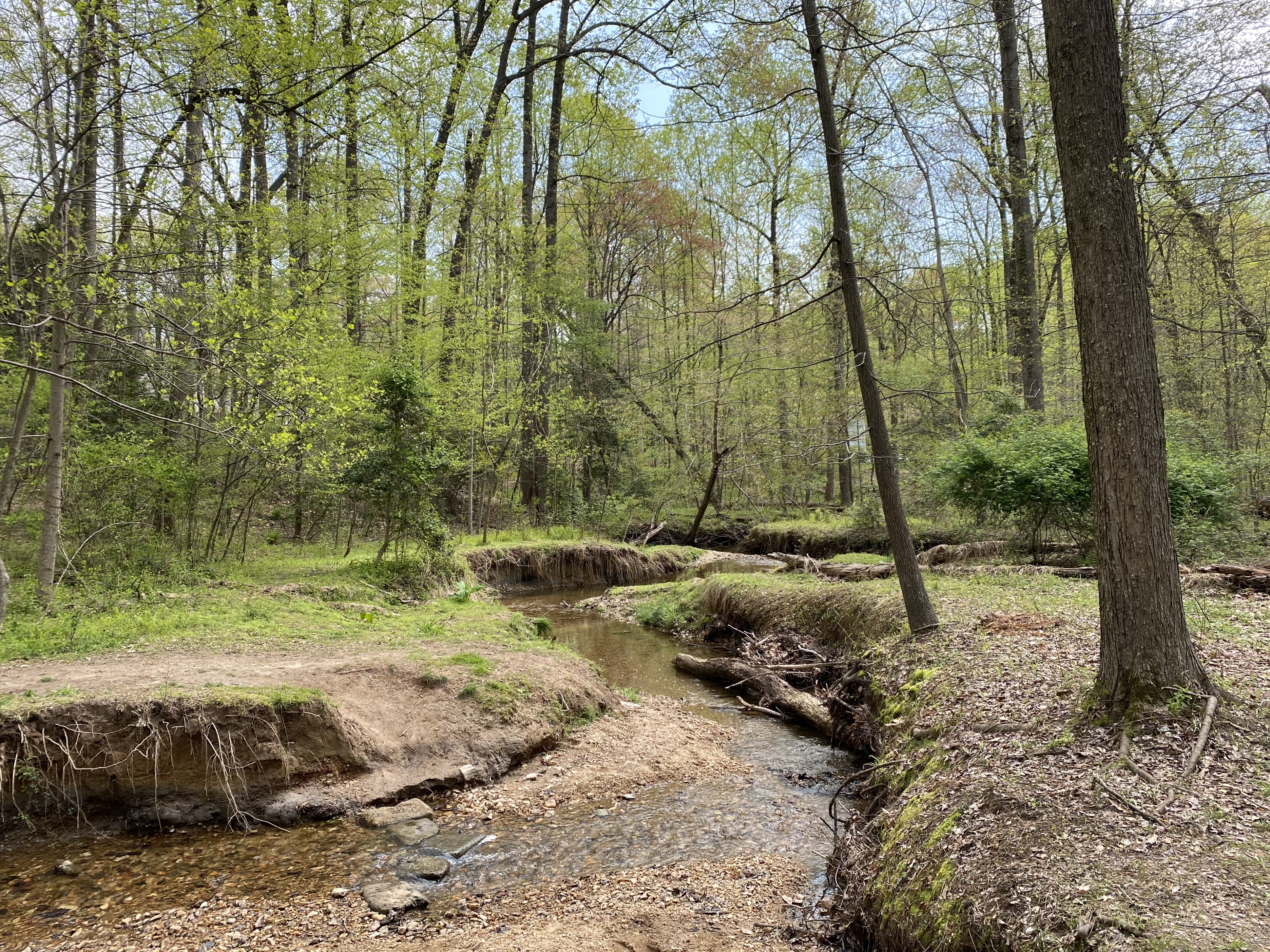 fullsizeoutput_1ce9f