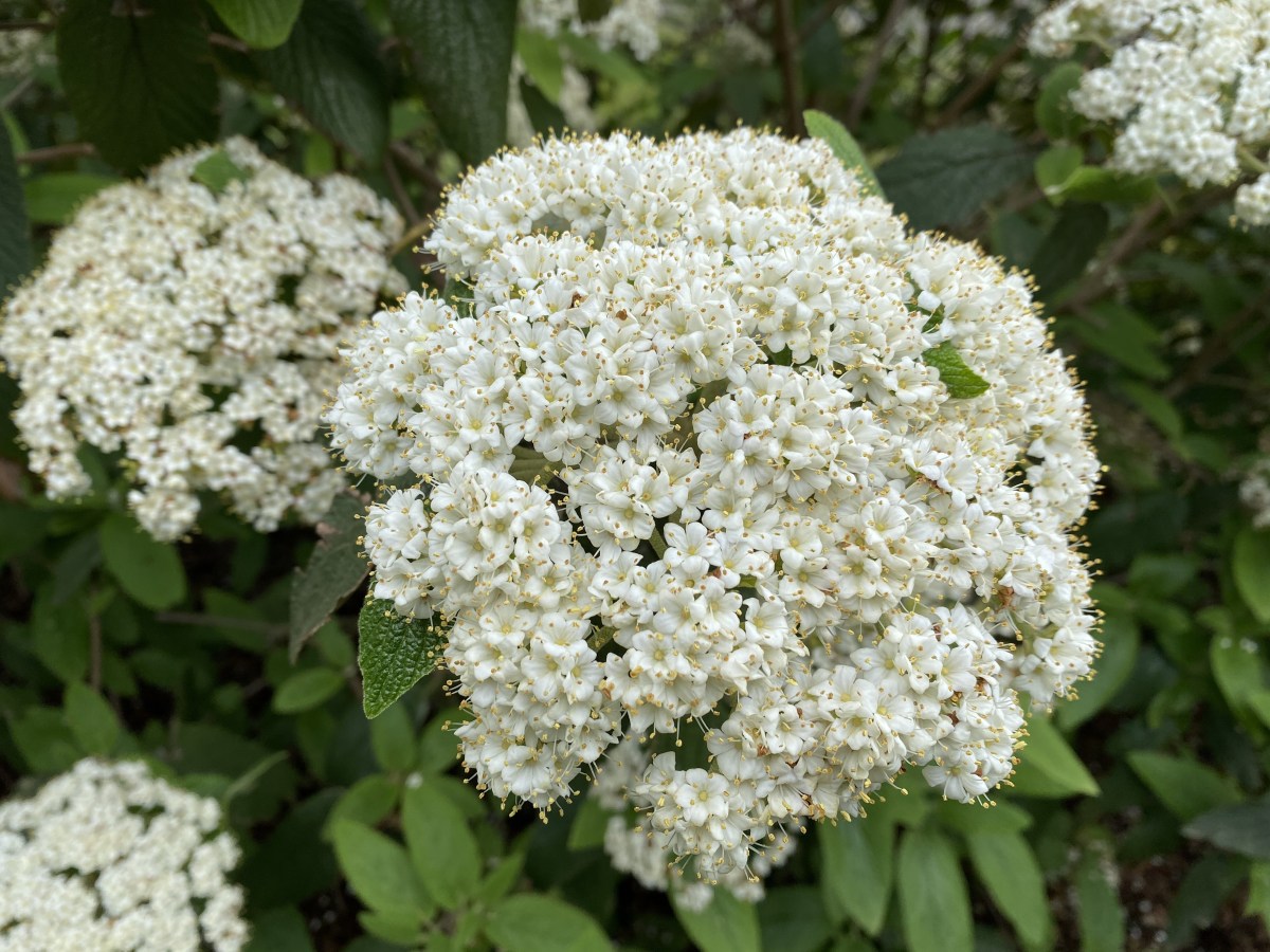 KIC+Lvq1T4eoxwdYNFlmVQ