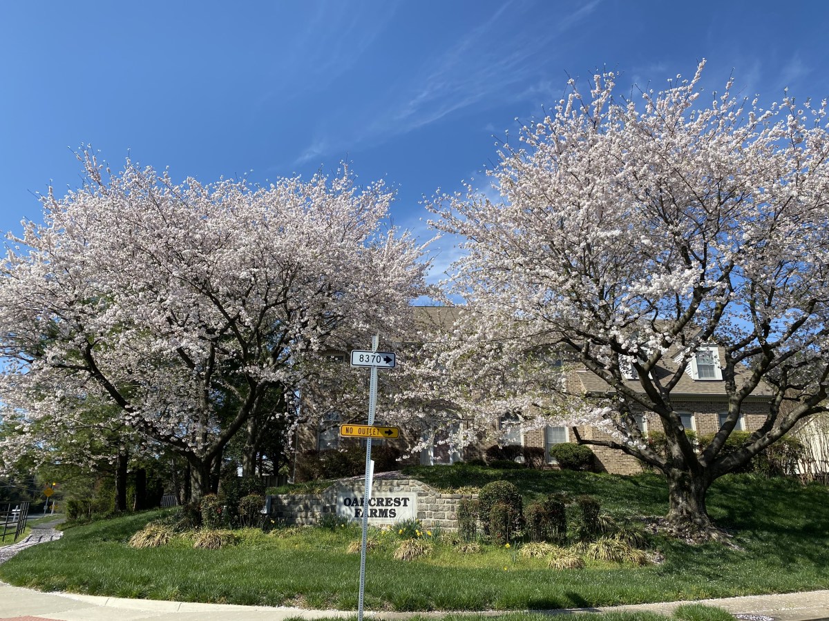 l2zRpwgjRiaWXfd0UaLA+A