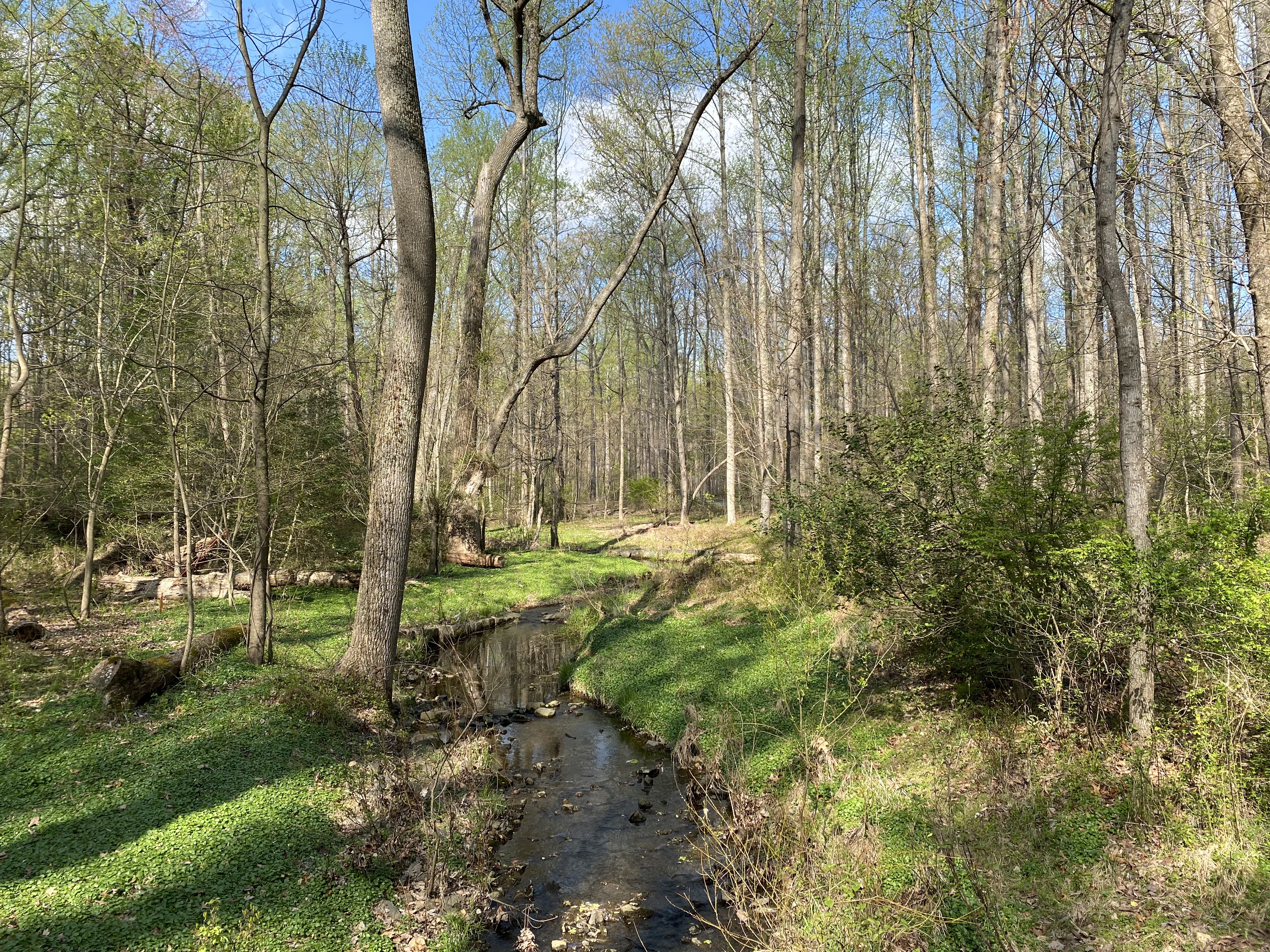 PQ%wzrDJTgm6Tj9axr+AlA