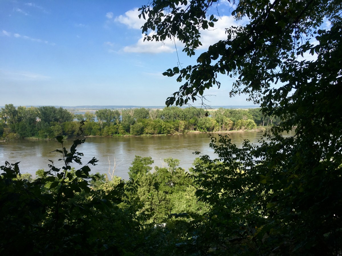 fullsizeoutput_1a6b4