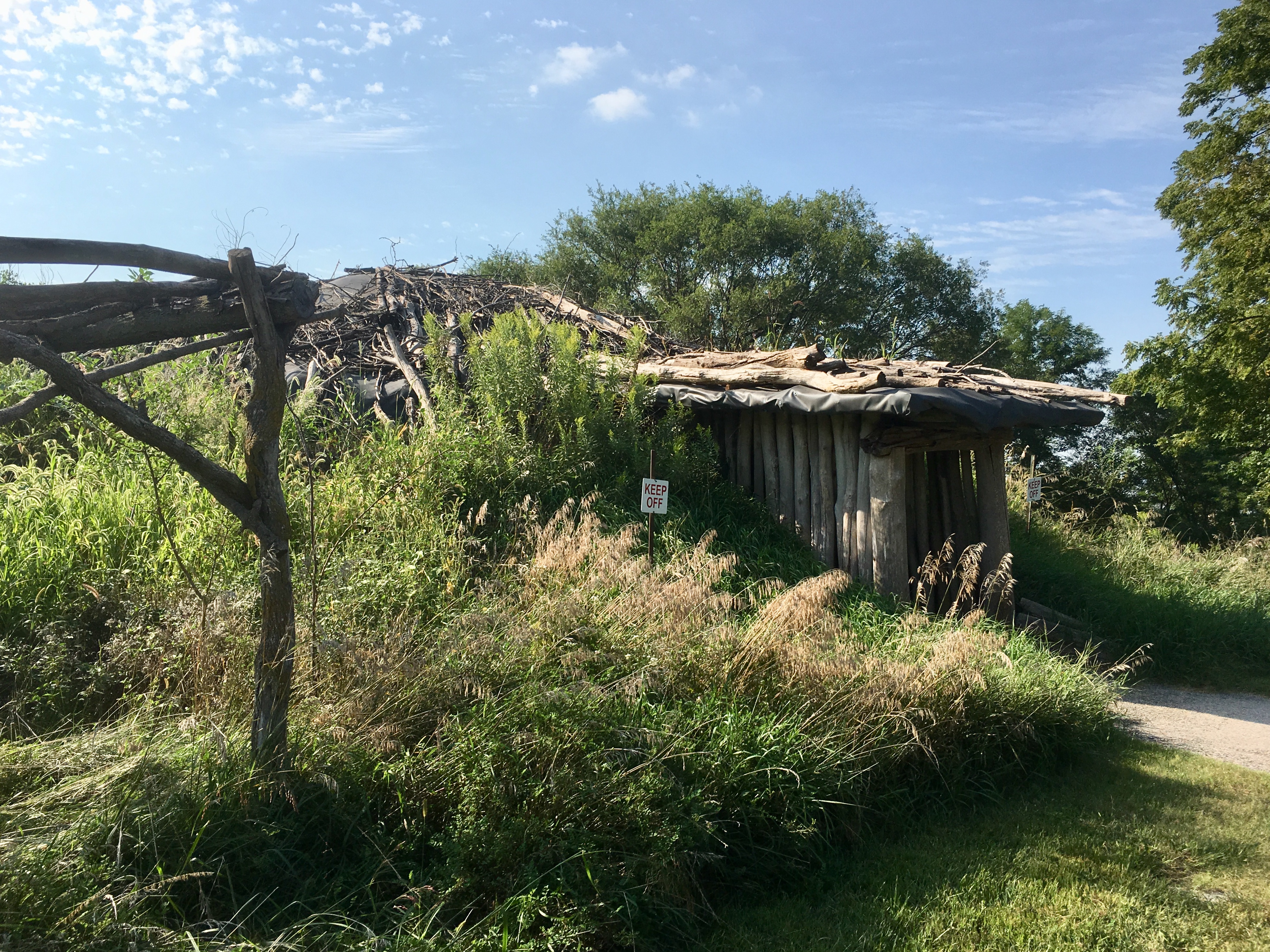 fullsizeoutput_1a6b6