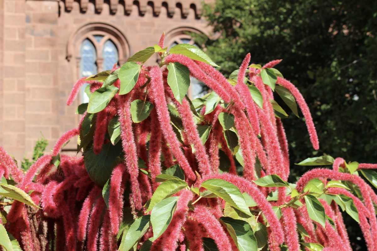 fullsizeoutput_1b913