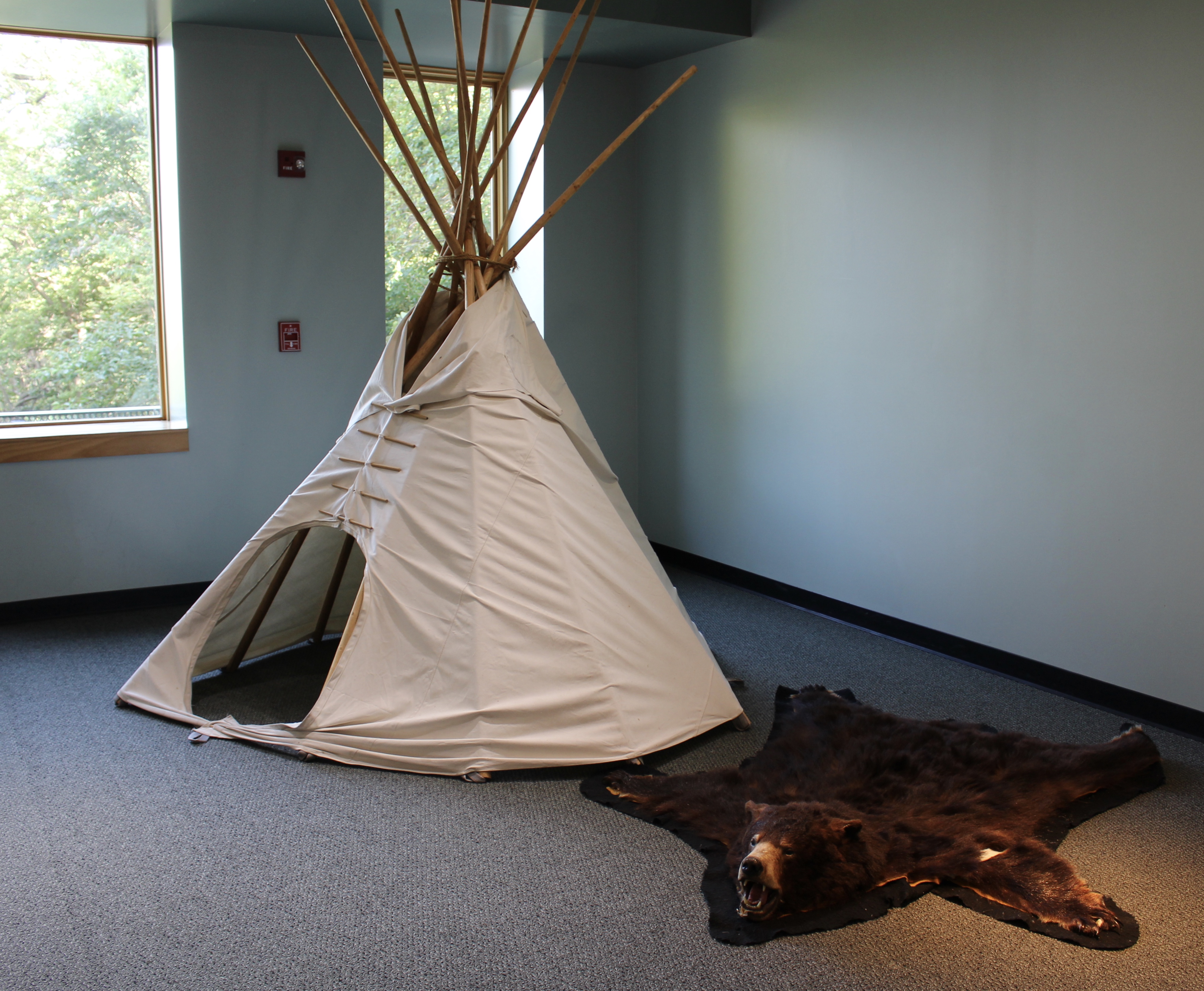 fullsizeoutput_1c227