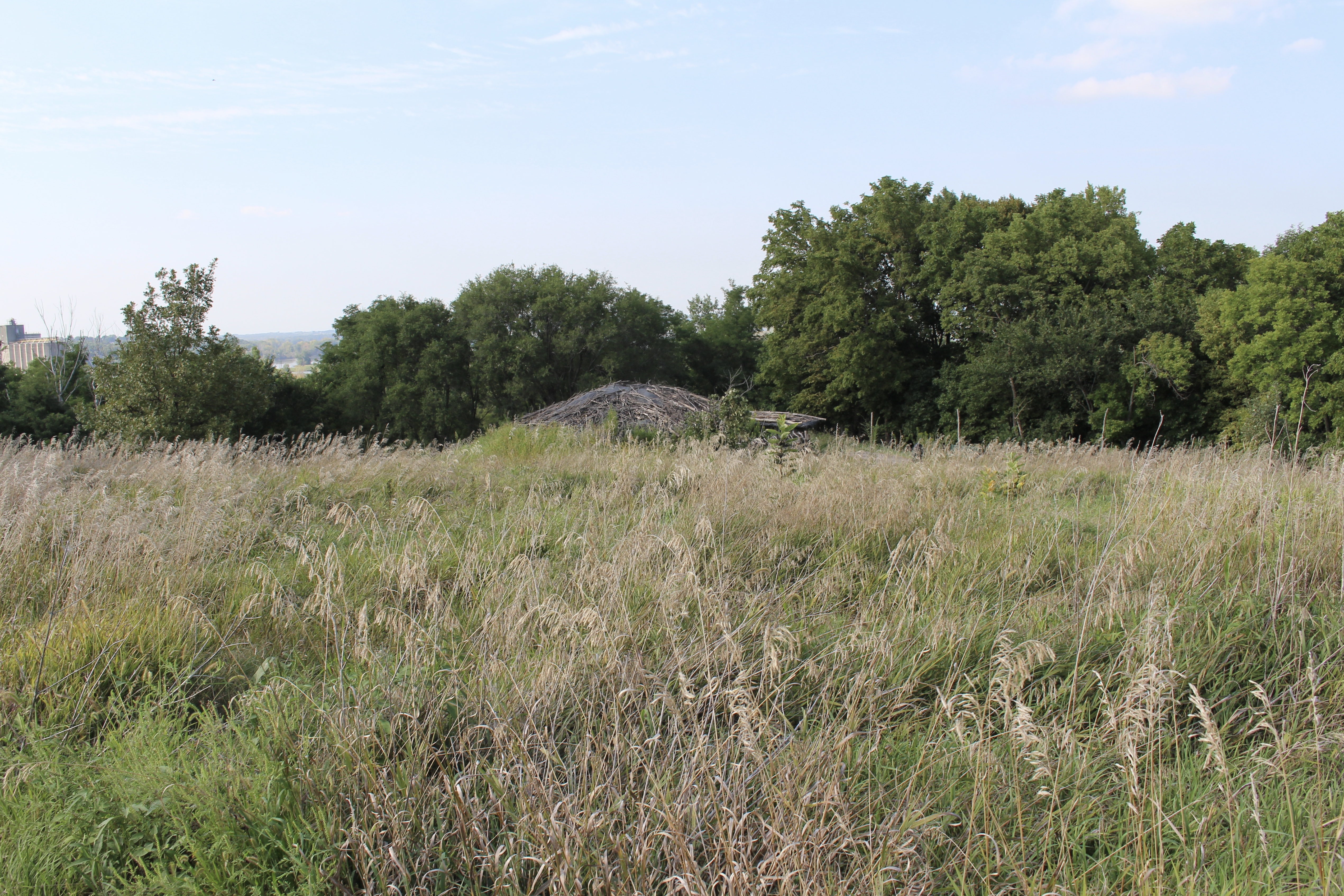 fullsizeoutput_1c233