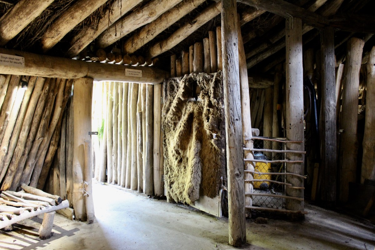 fullsizeoutput_1c237