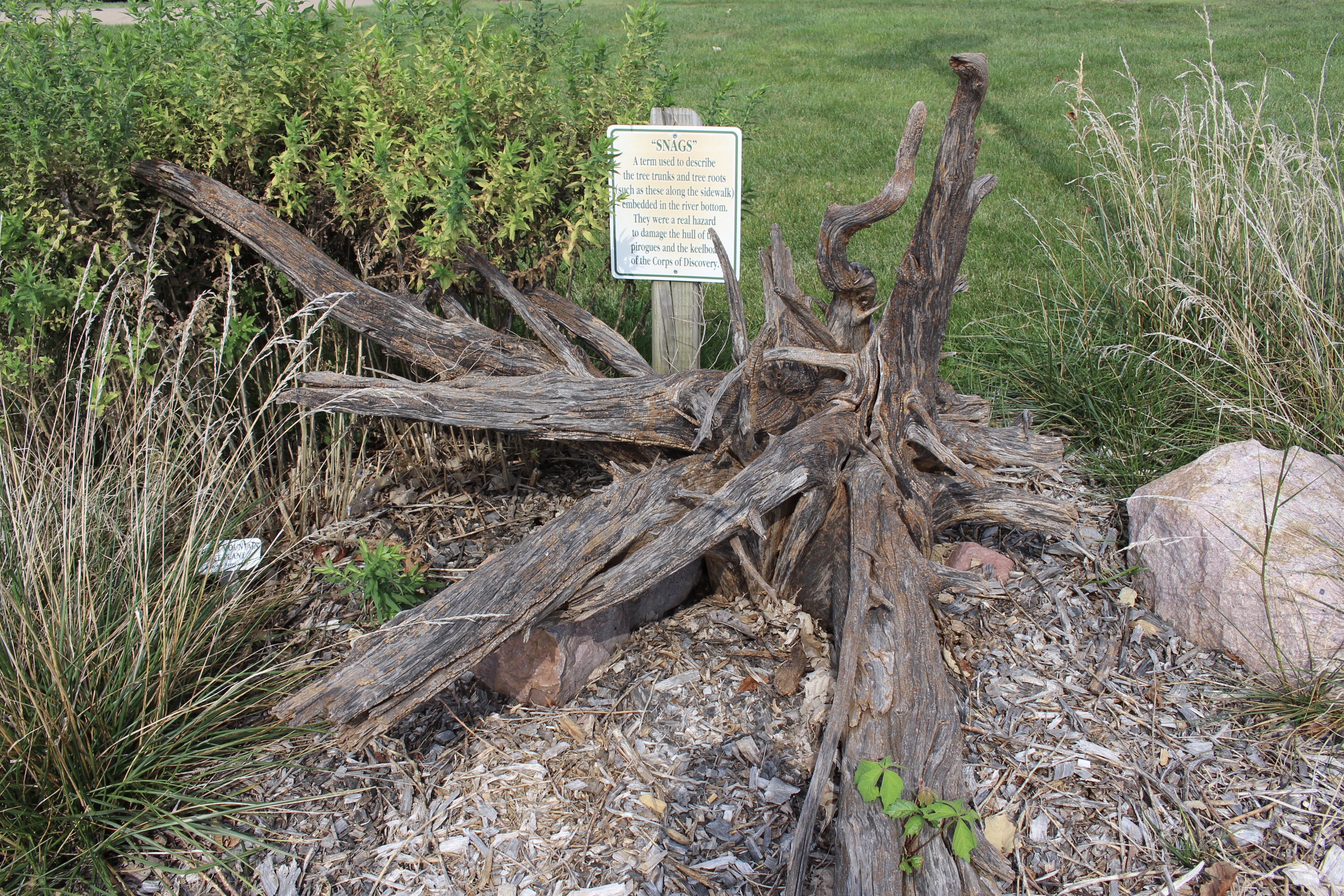 fullsizeoutput_1c238