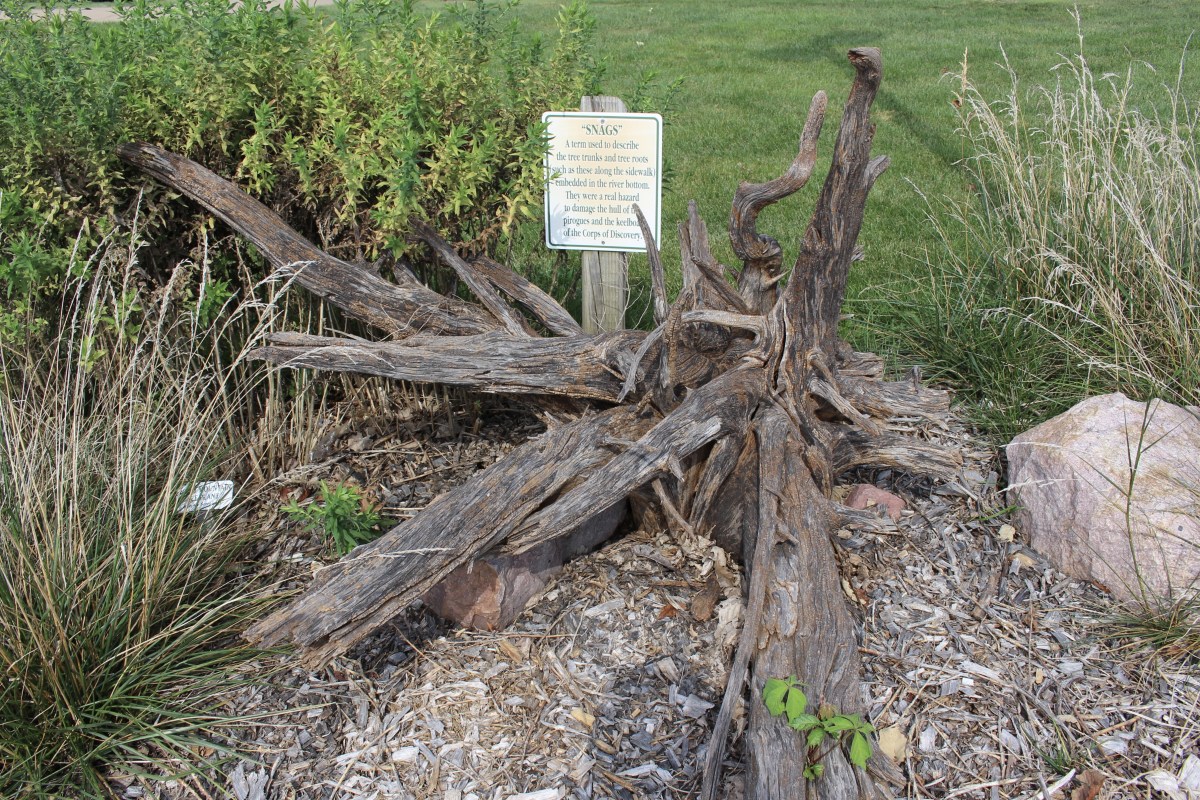 fullsizeoutput_1c238