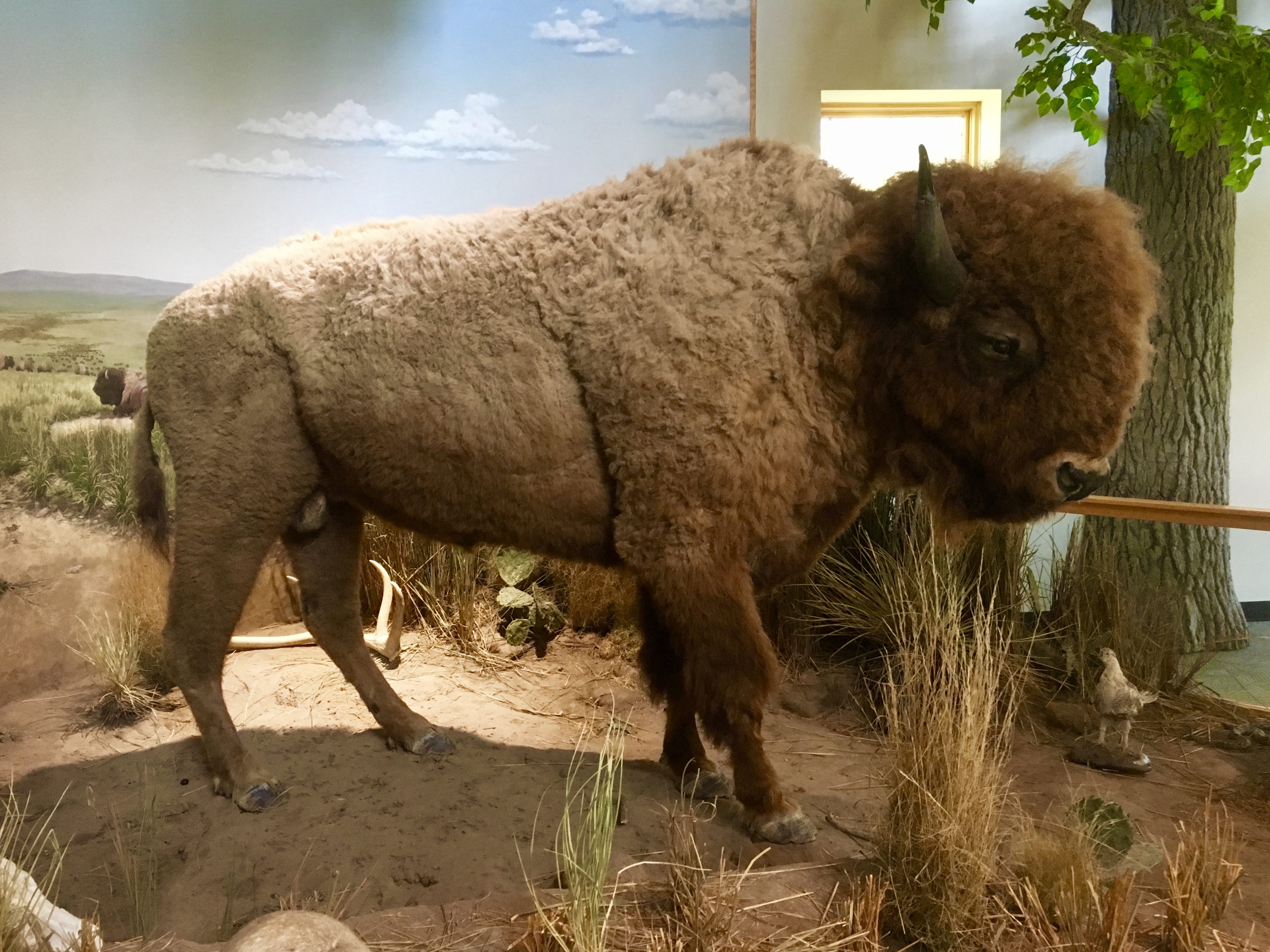 fullsizeoutput_1c25c