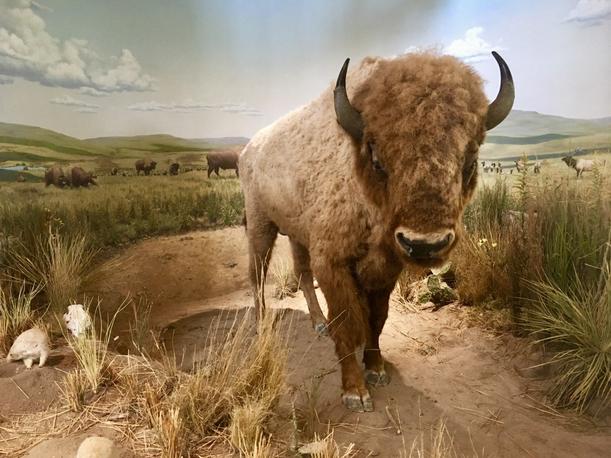 fullsizeoutput_1c261