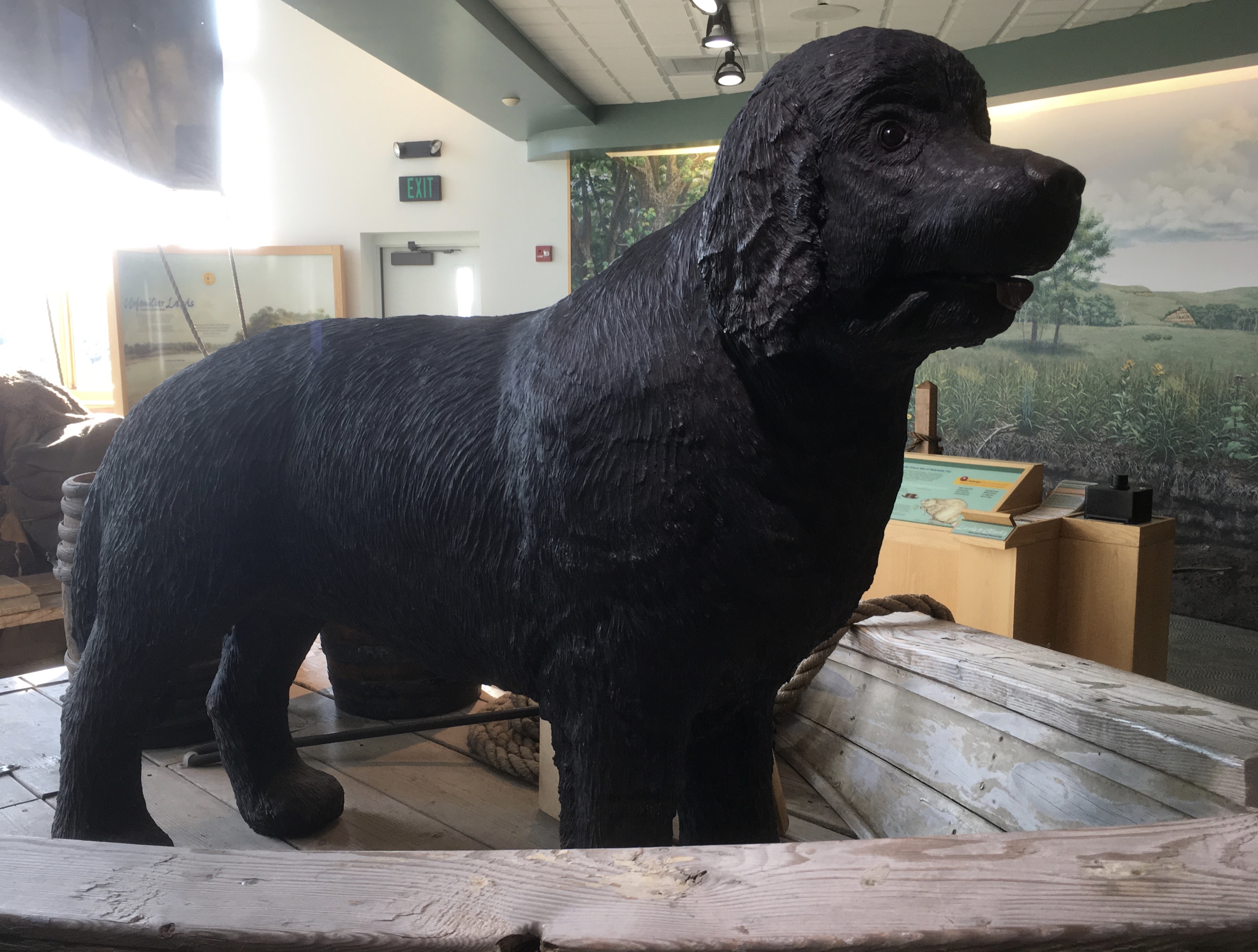 fullsizeoutput_1c27a