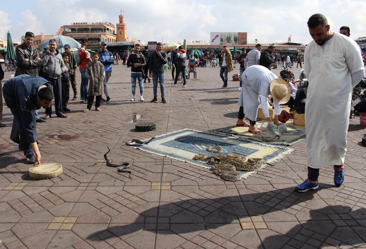 fullsizeoutput_1cc22