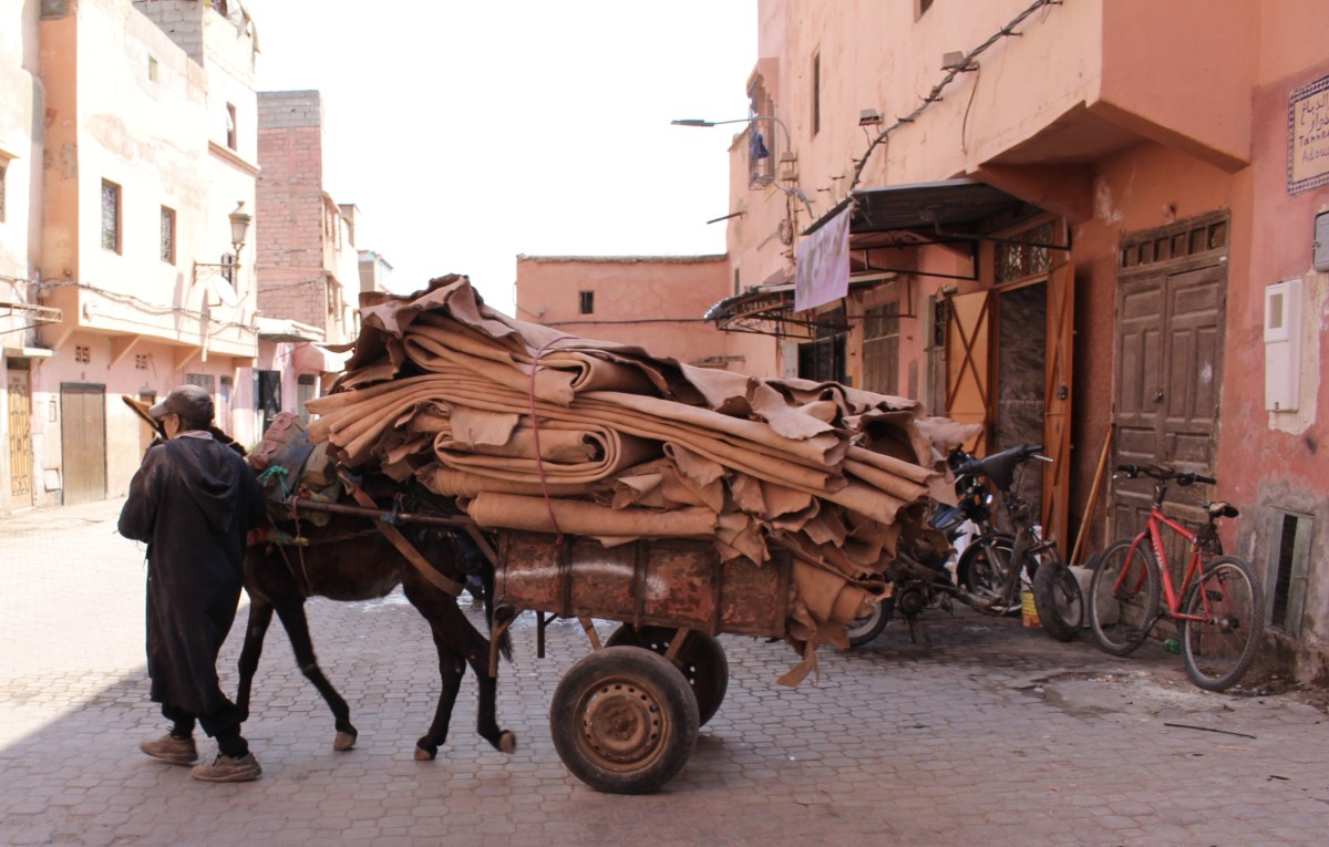 fullsizeoutput_1cc31