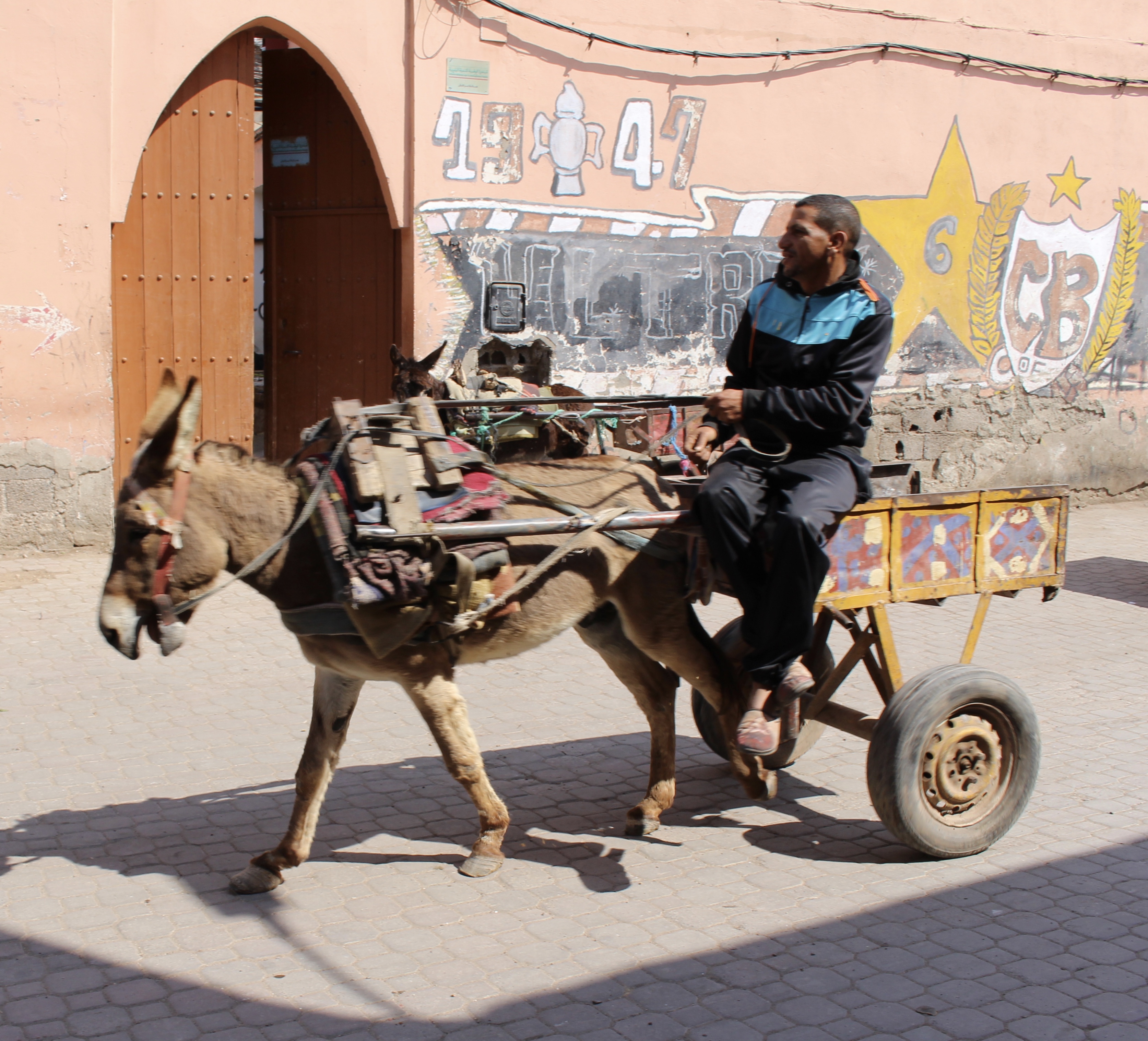 fullsizeoutput_1cc32