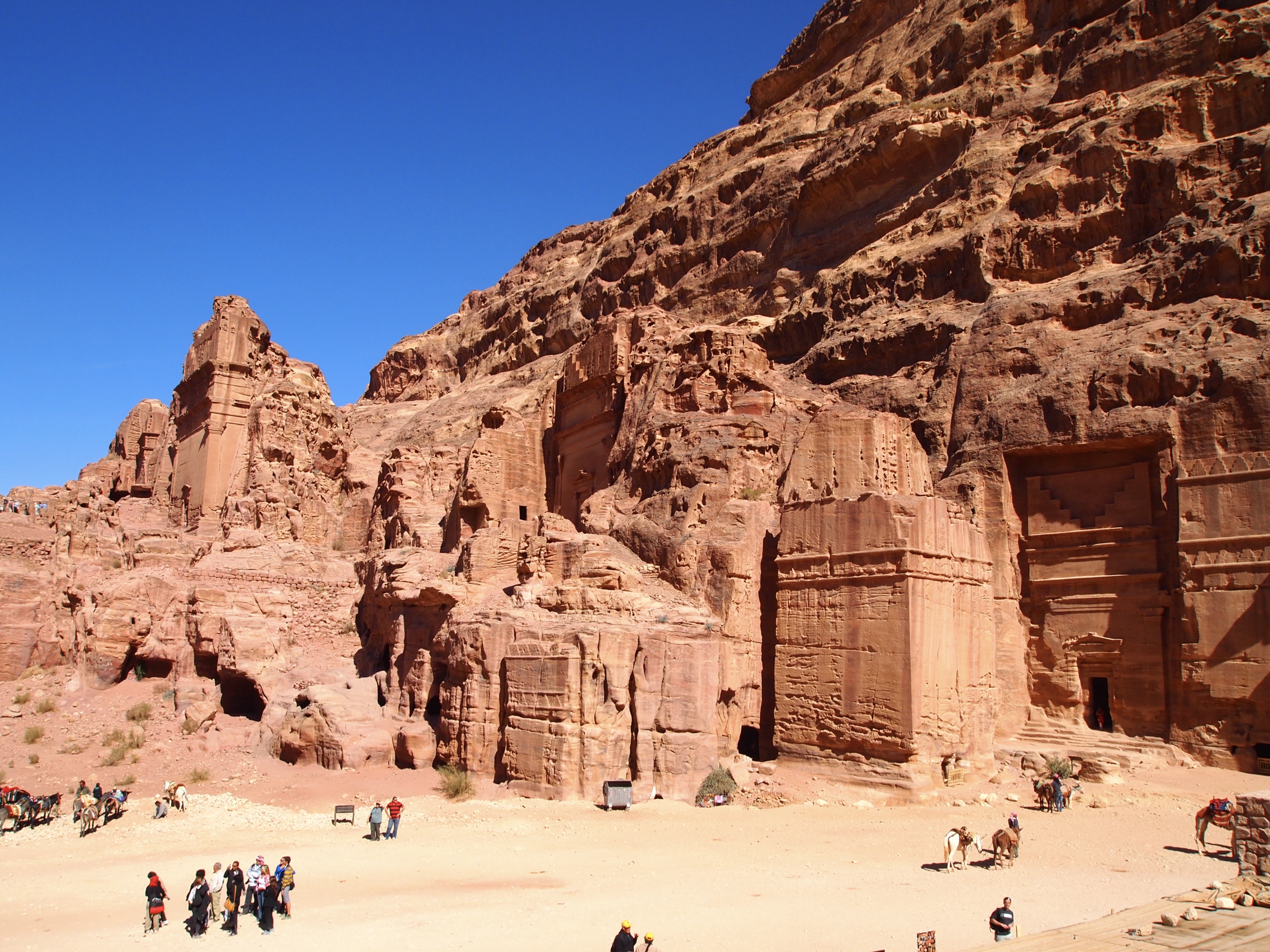 fullsizeoutput_1cd72