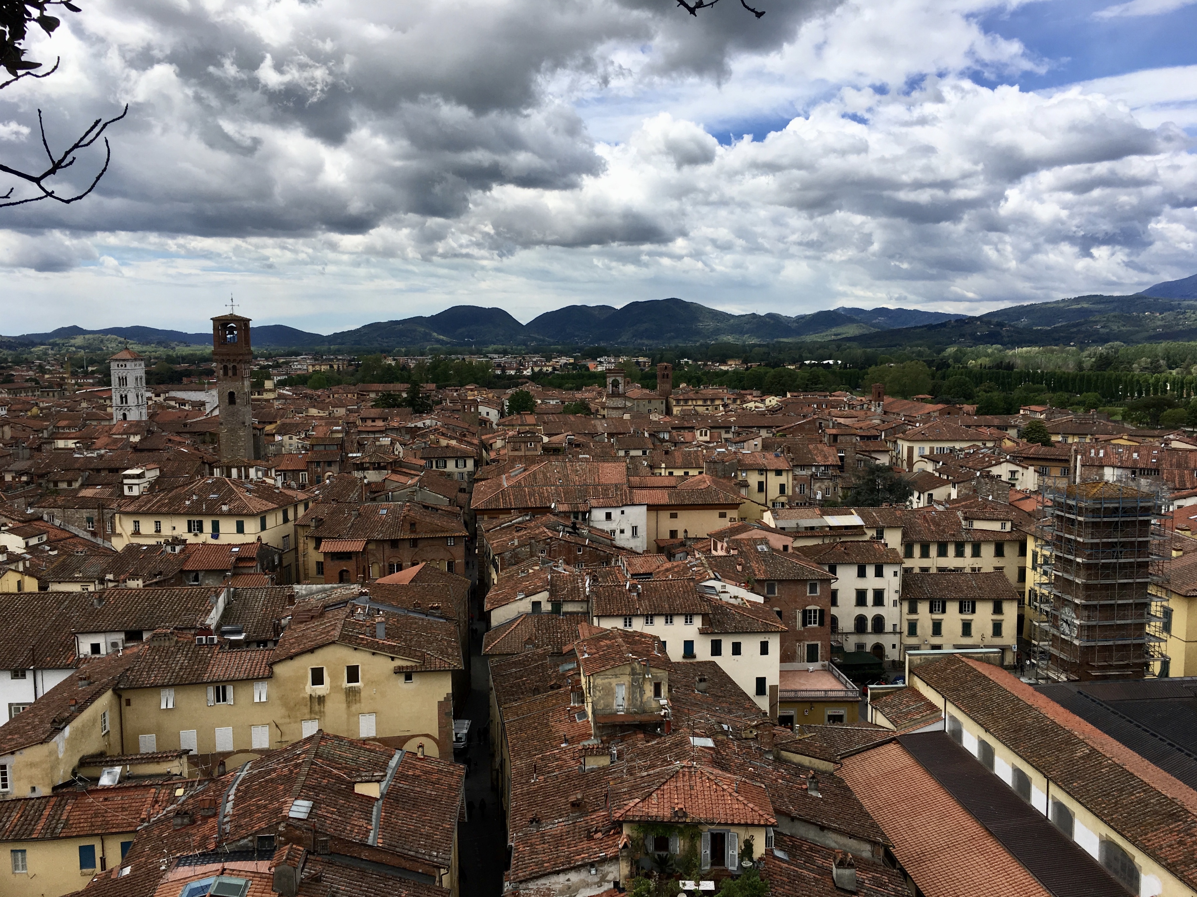 fullsizeoutput_1d2db