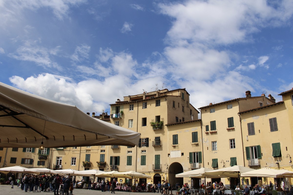 fullsizeoutput_1d327