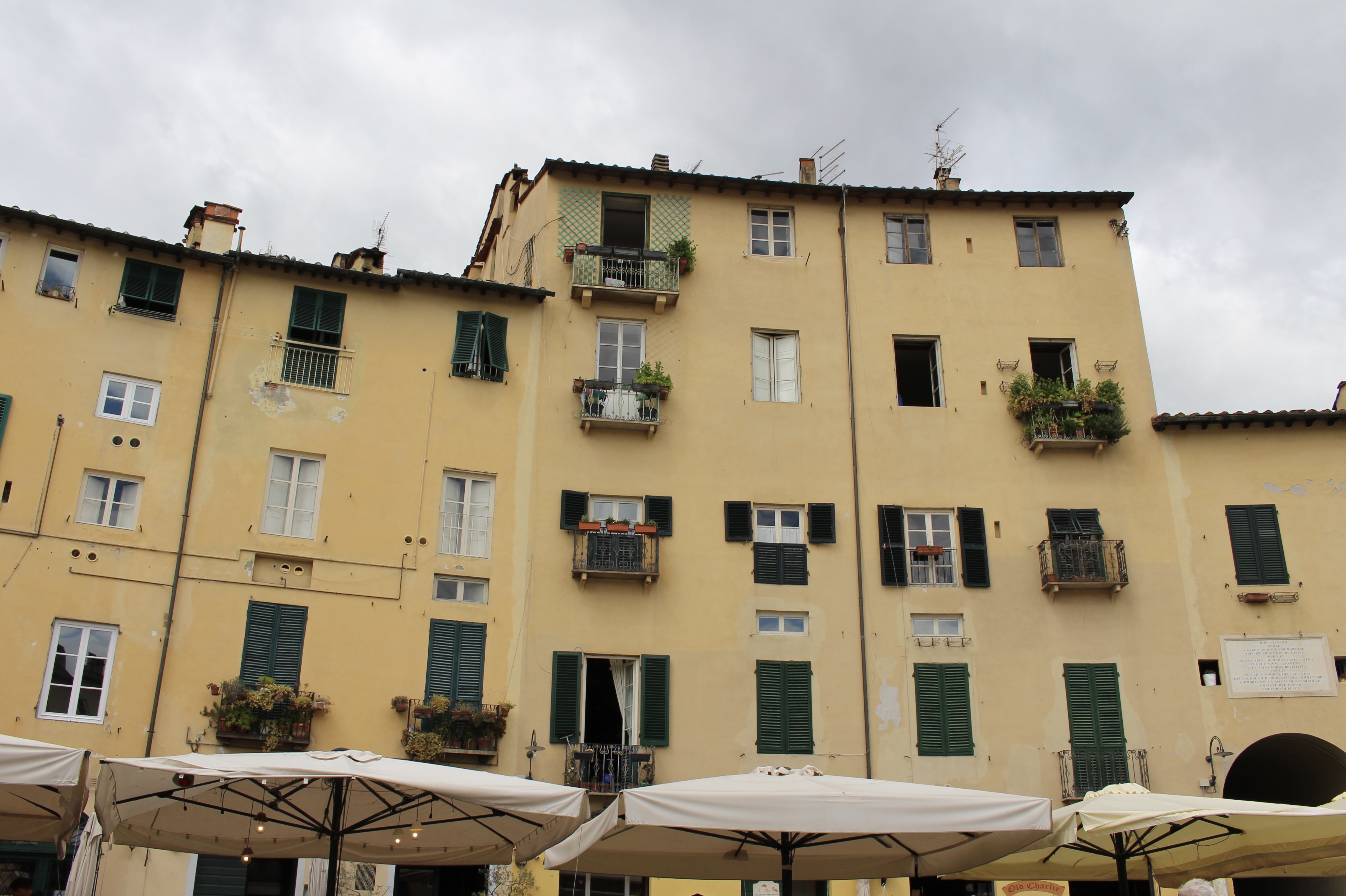 fullsizeoutput_1d329