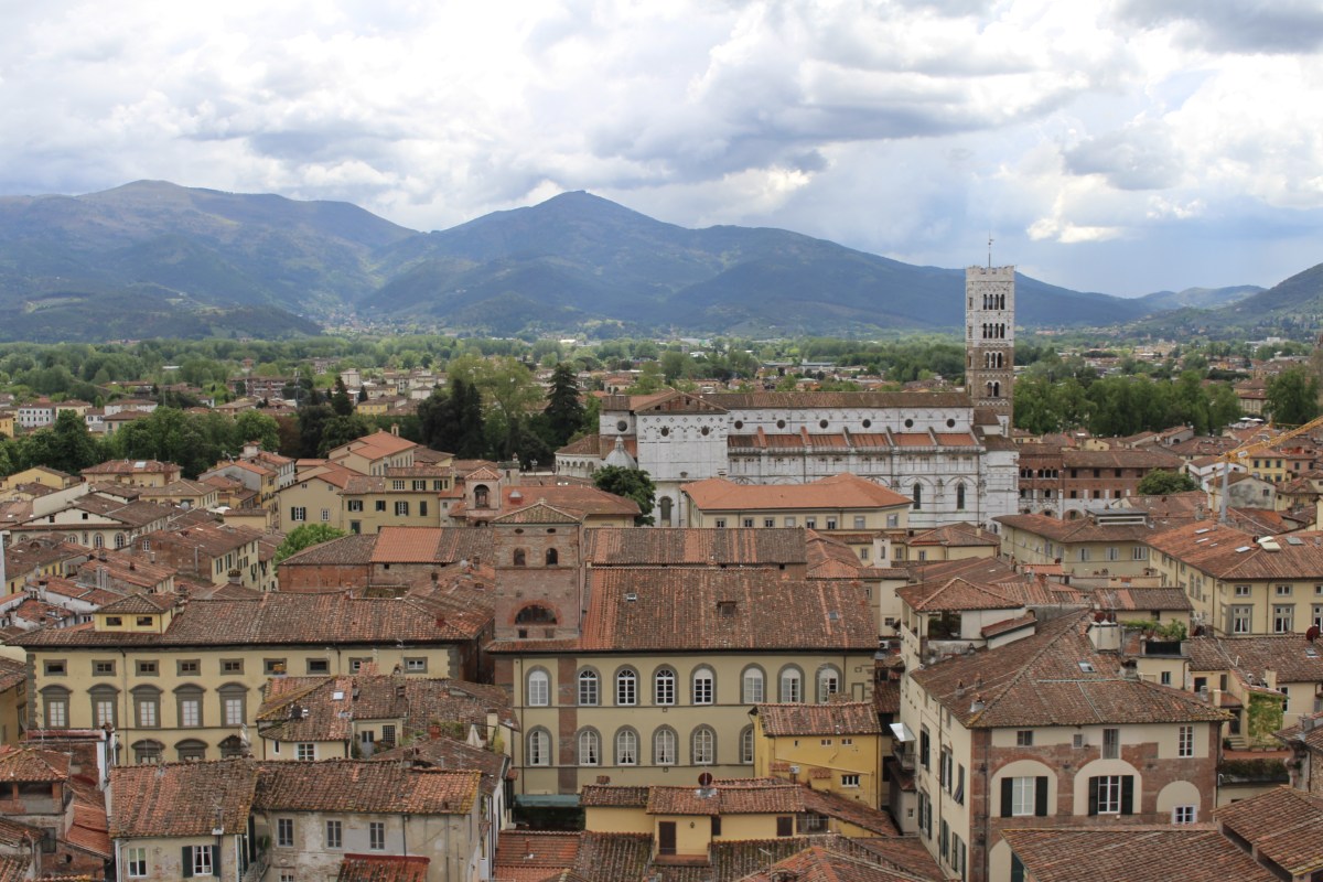 fullsizeoutput_1d343