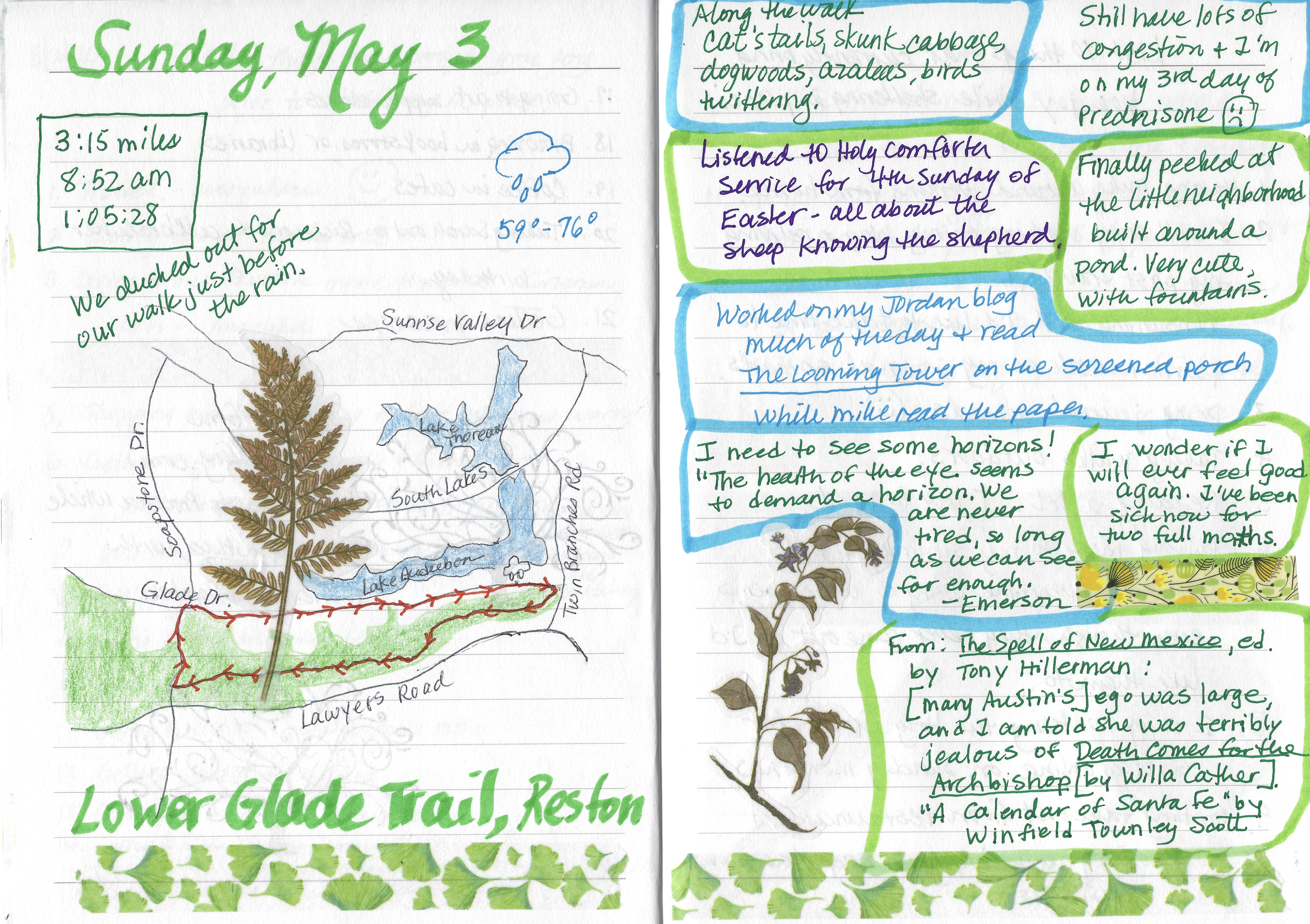 fullsizeoutput_1d376