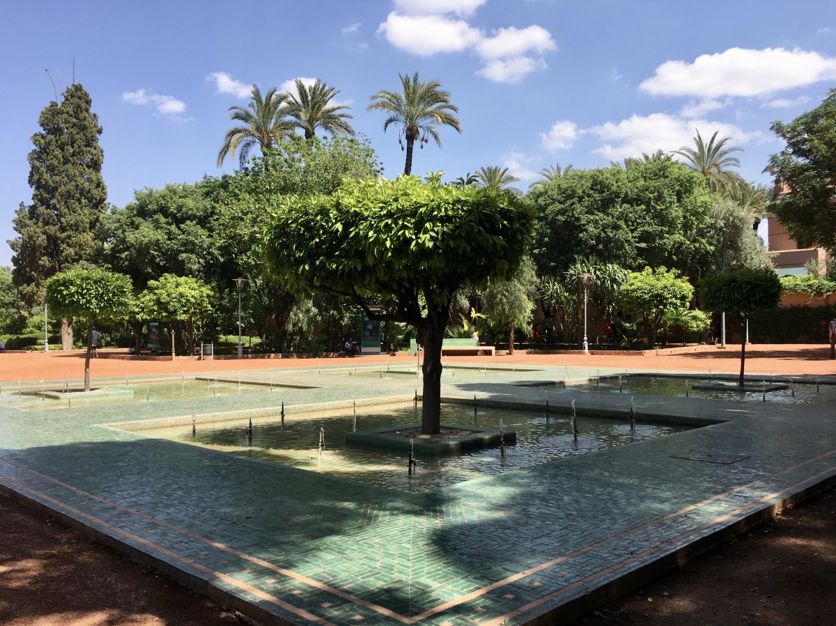 fullsizeoutput_1d46a