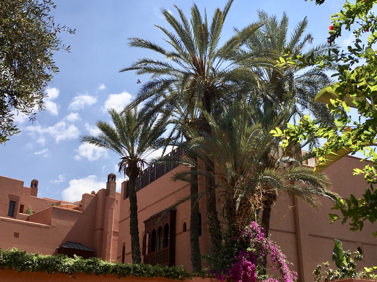 fullsizeoutput_1d46c