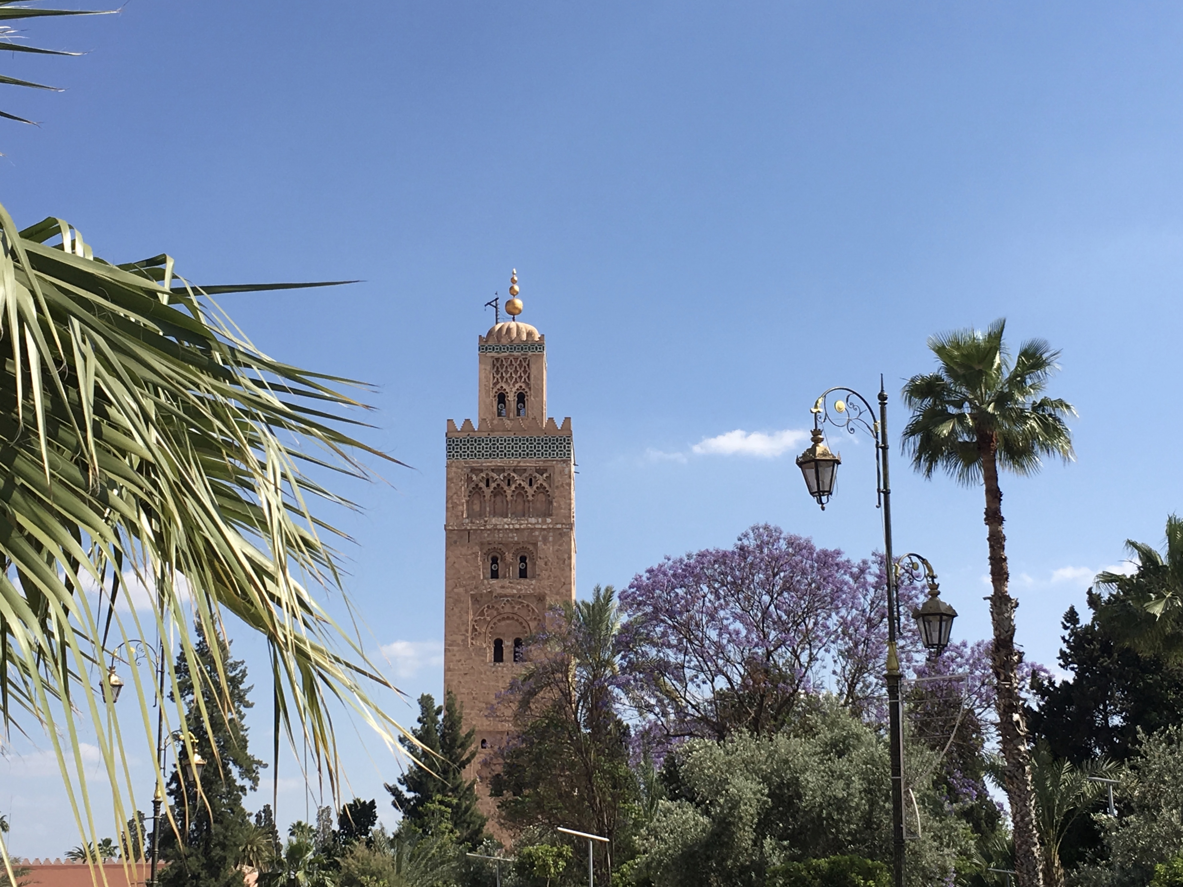 fullsizeoutput_1d46f