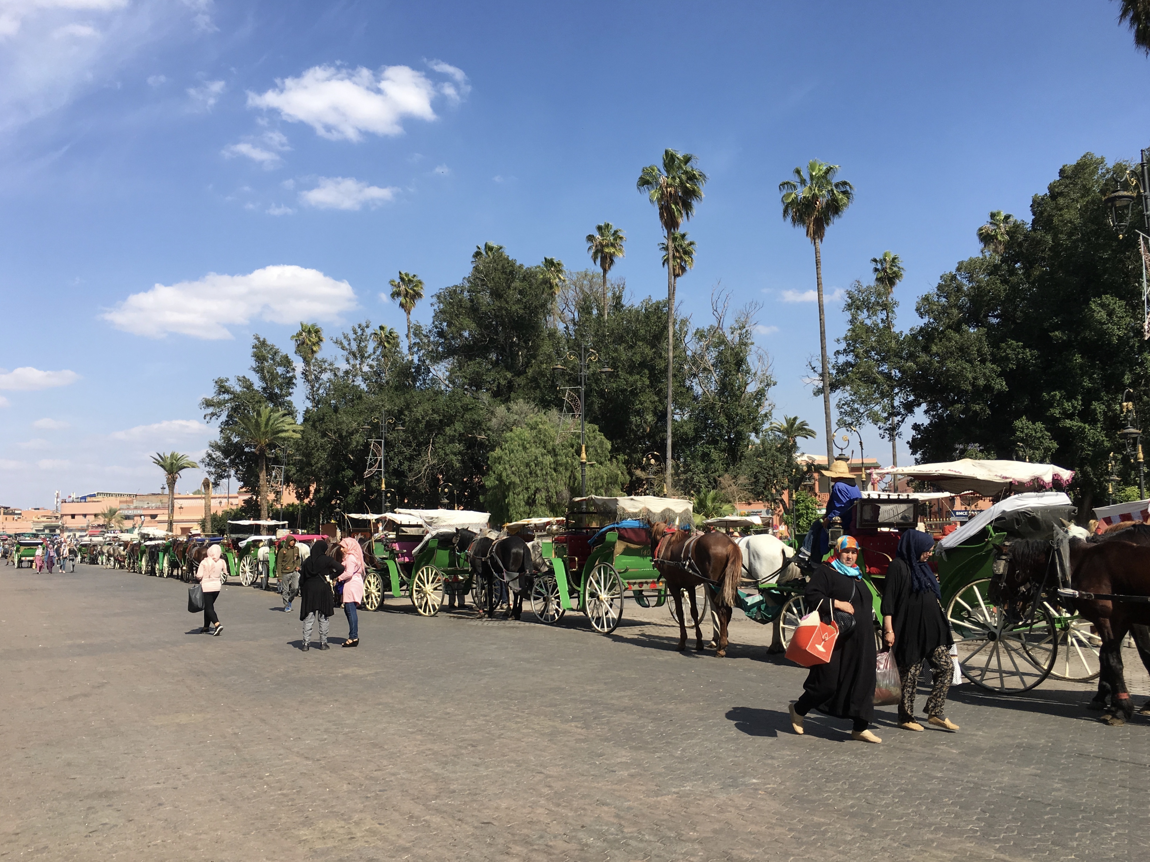 fullsizeoutput_1d475