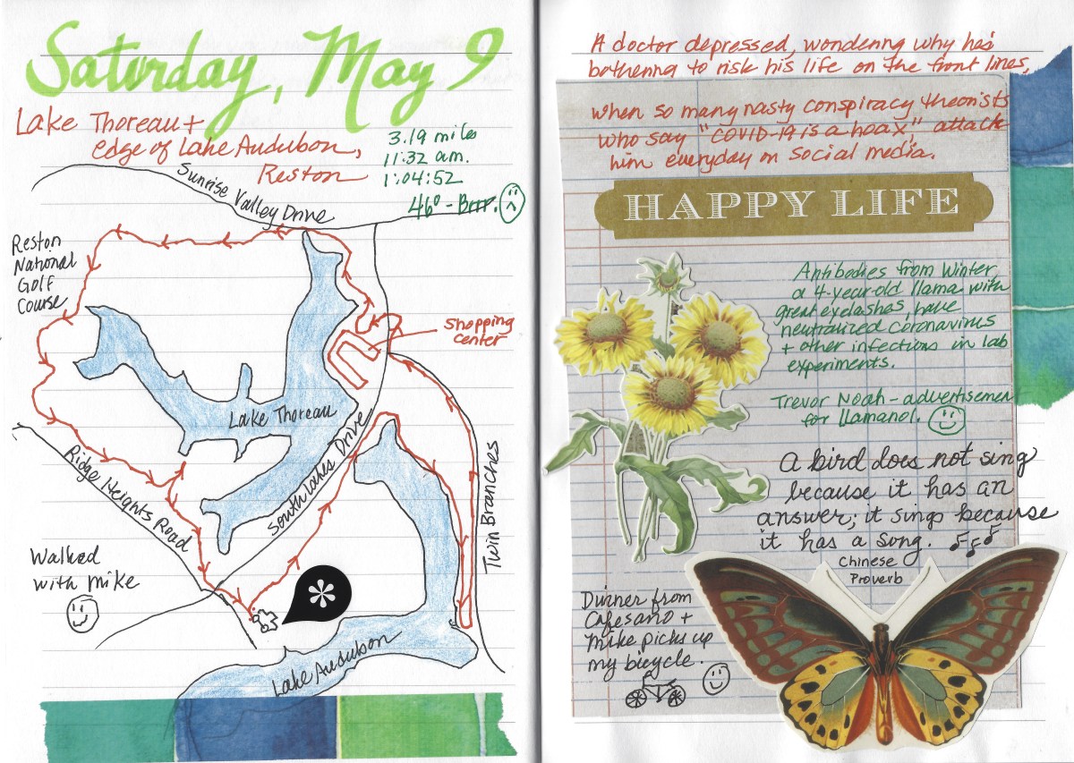 fullsizeoutput_1d4c0