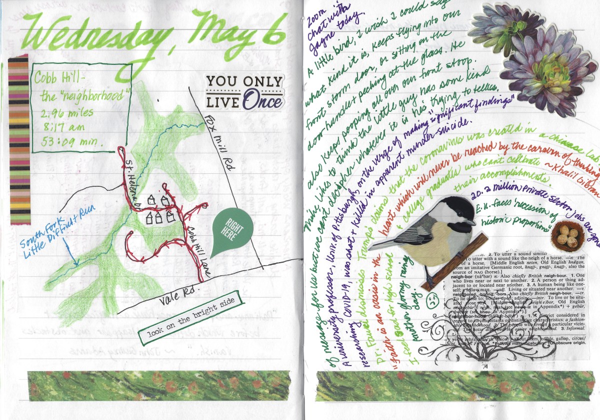 fullsizeoutput_1d4c5