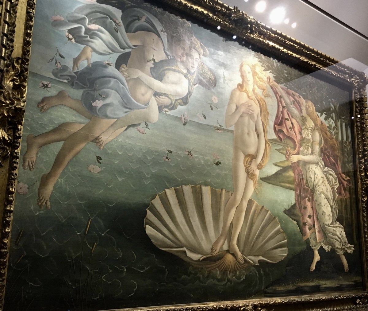 fullsizeoutput_1d55c