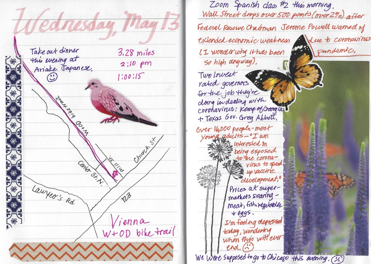 fullsizeoutput_1d5c3