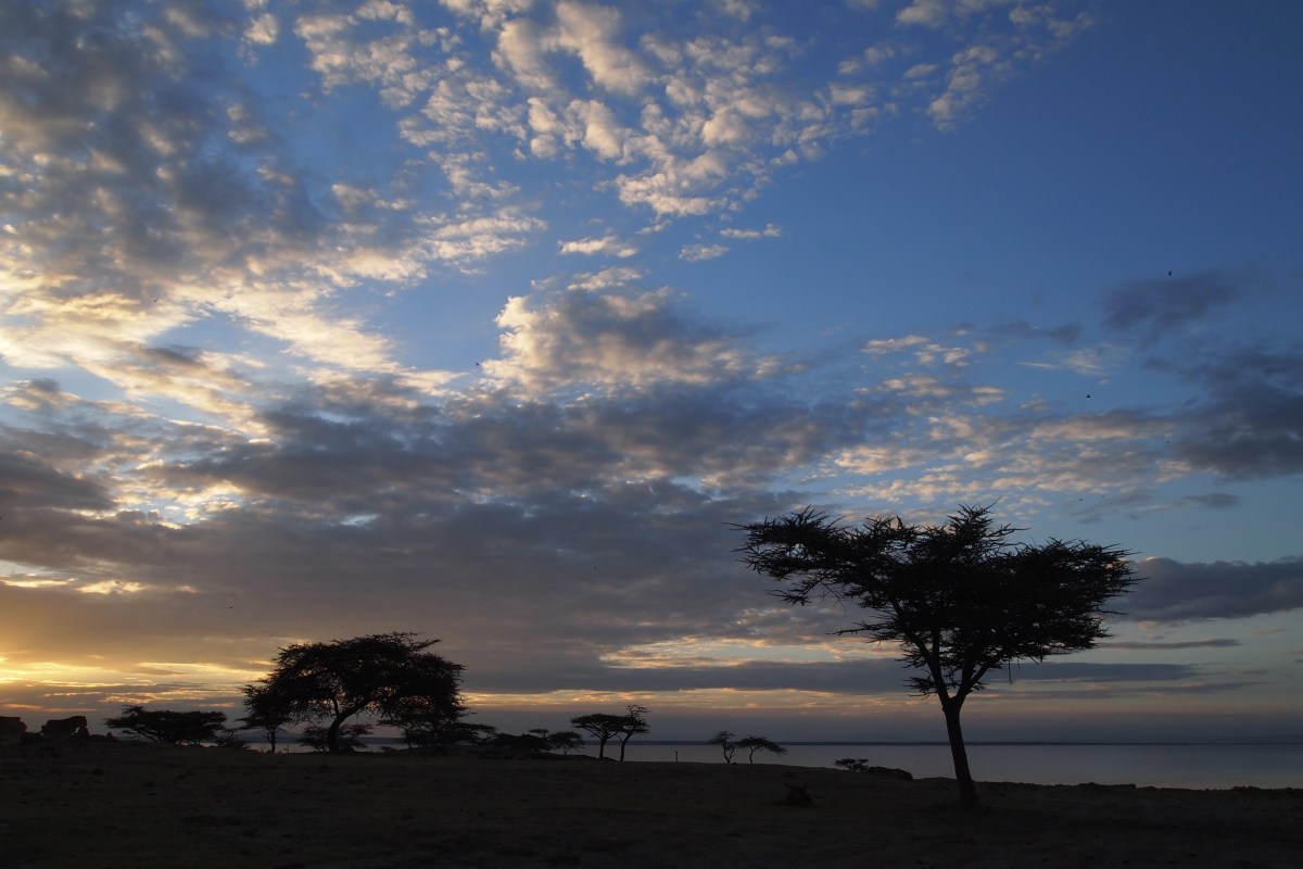 fullsizeoutput_1d602