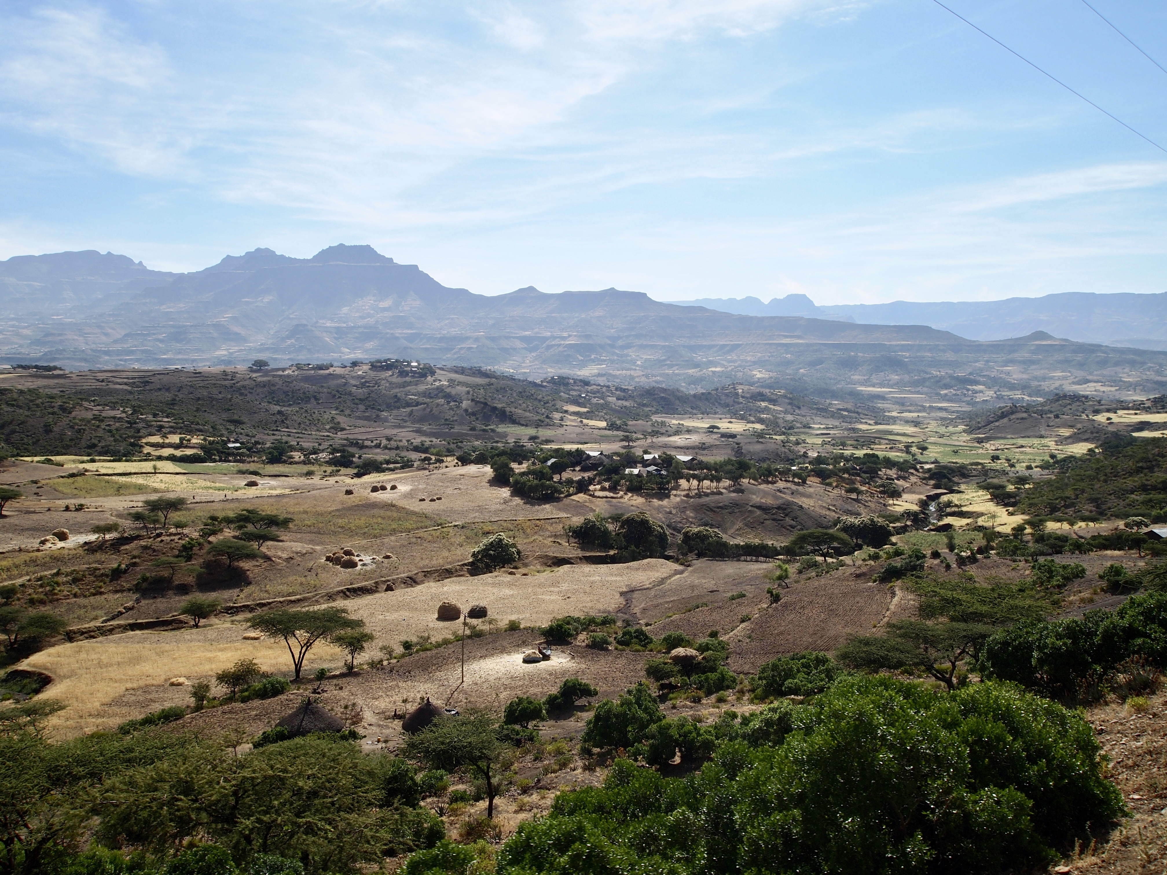 fullsizeoutput_1d612