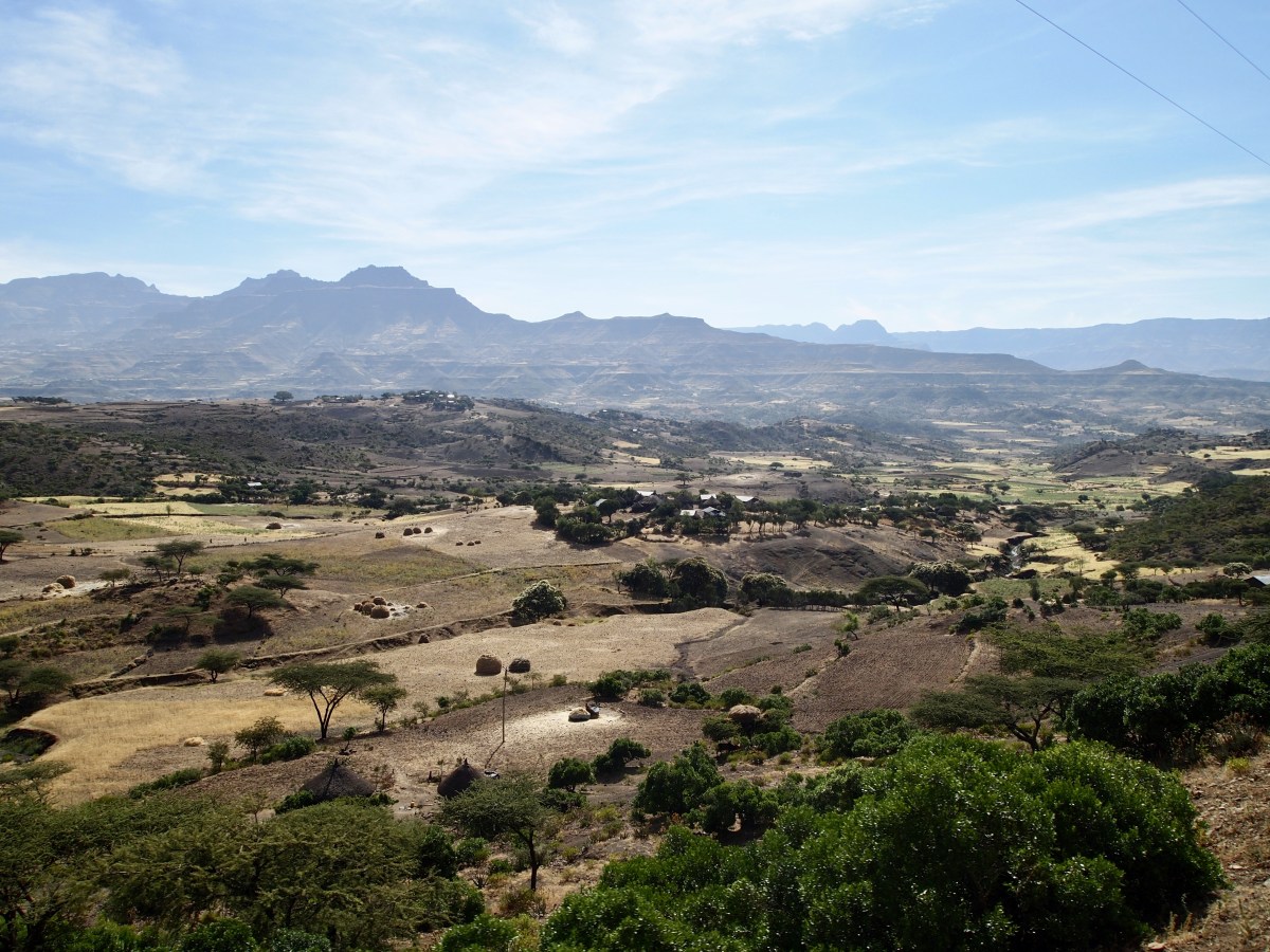 fullsizeoutput_1d612