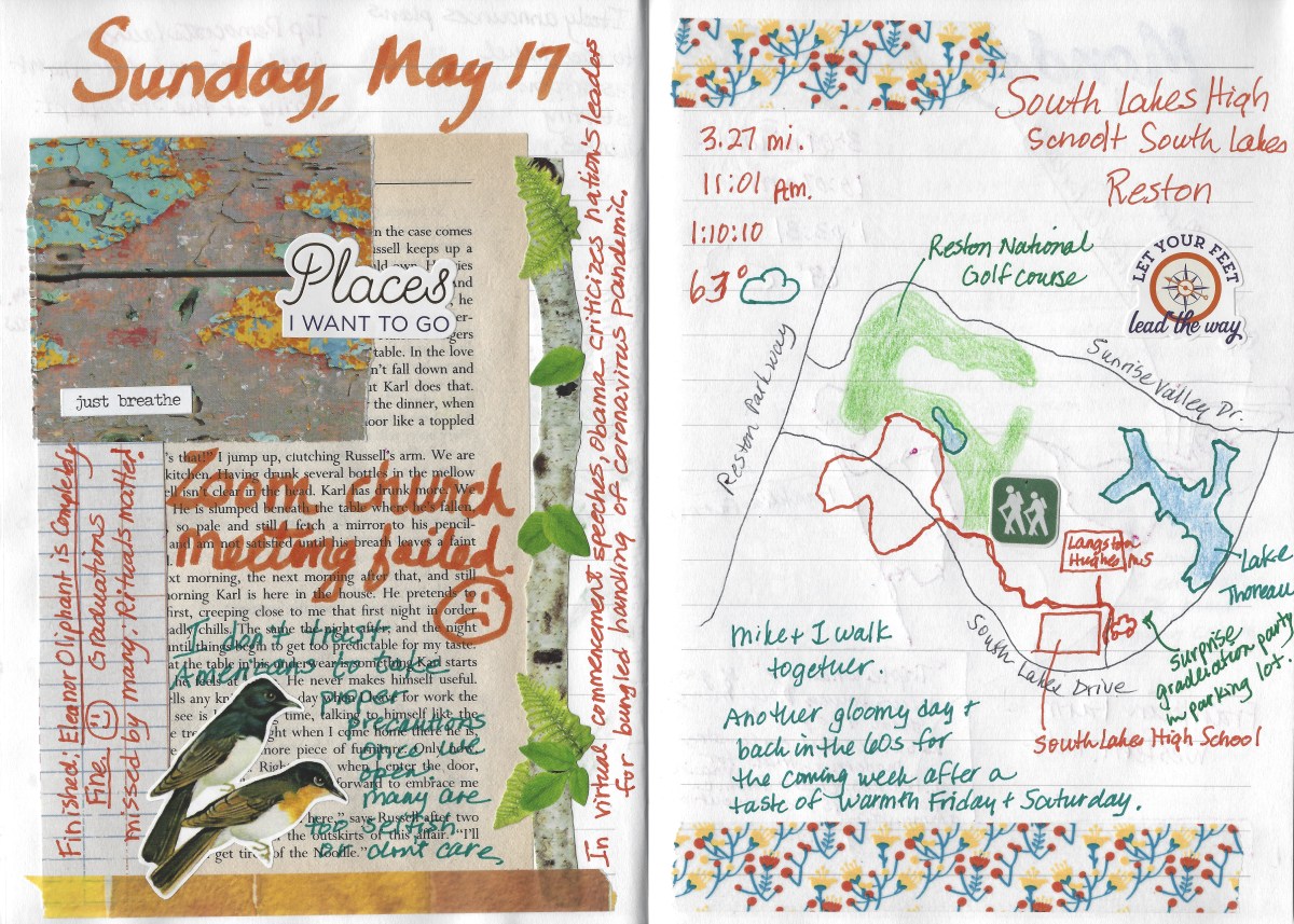 fullsizeoutput_1d621