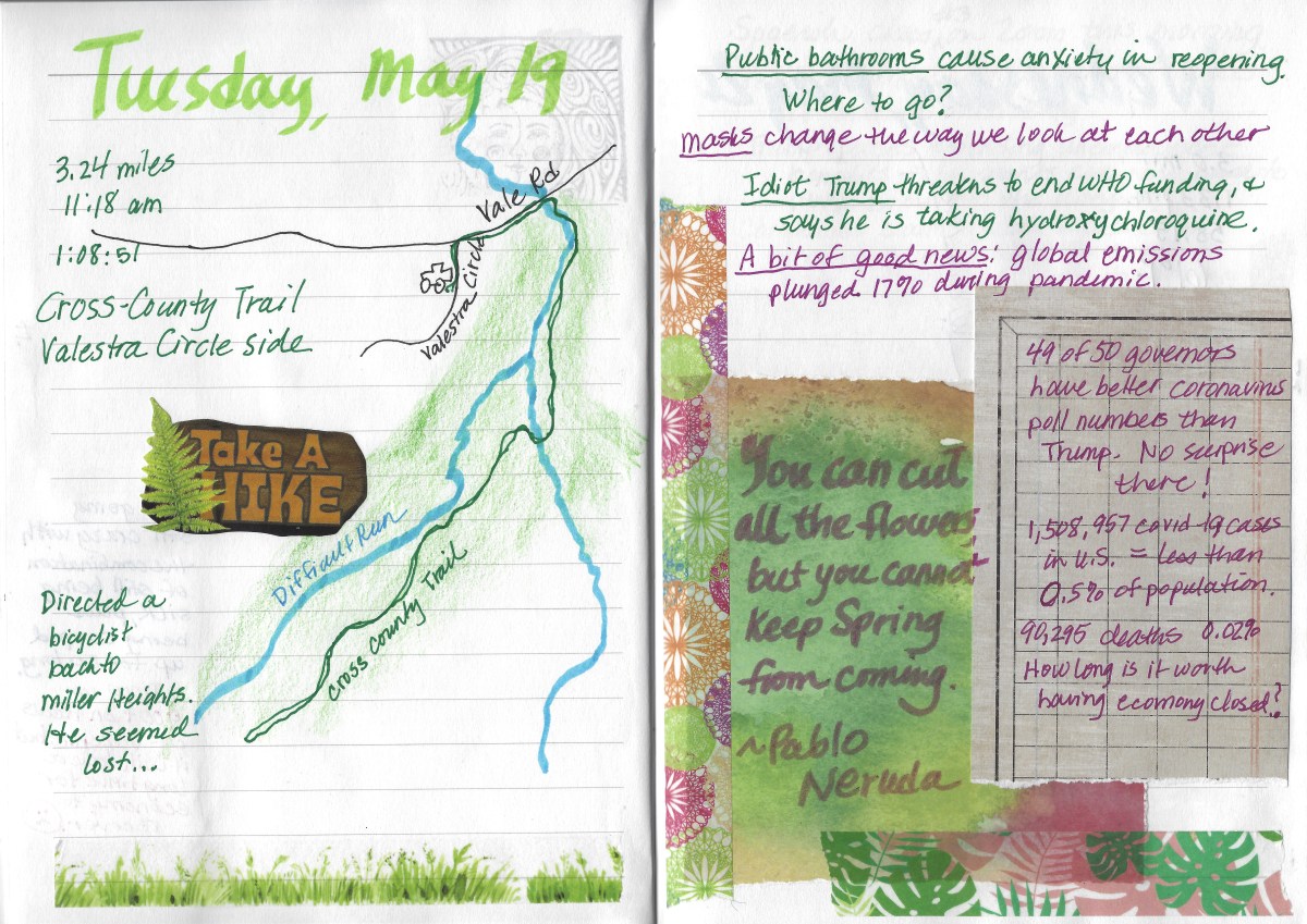 fullsizeoutput_1d63c