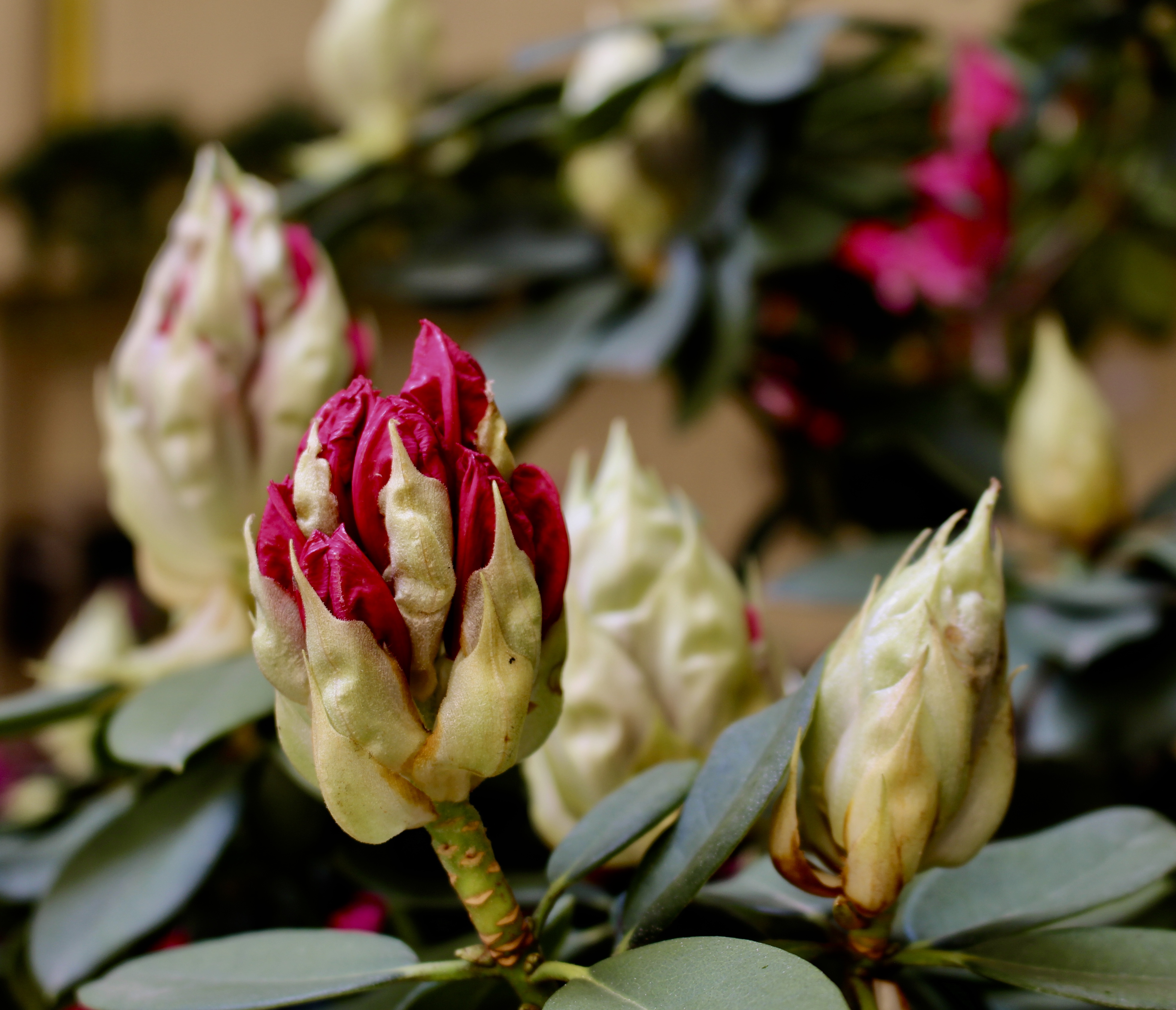 fullsizeoutput_1d664