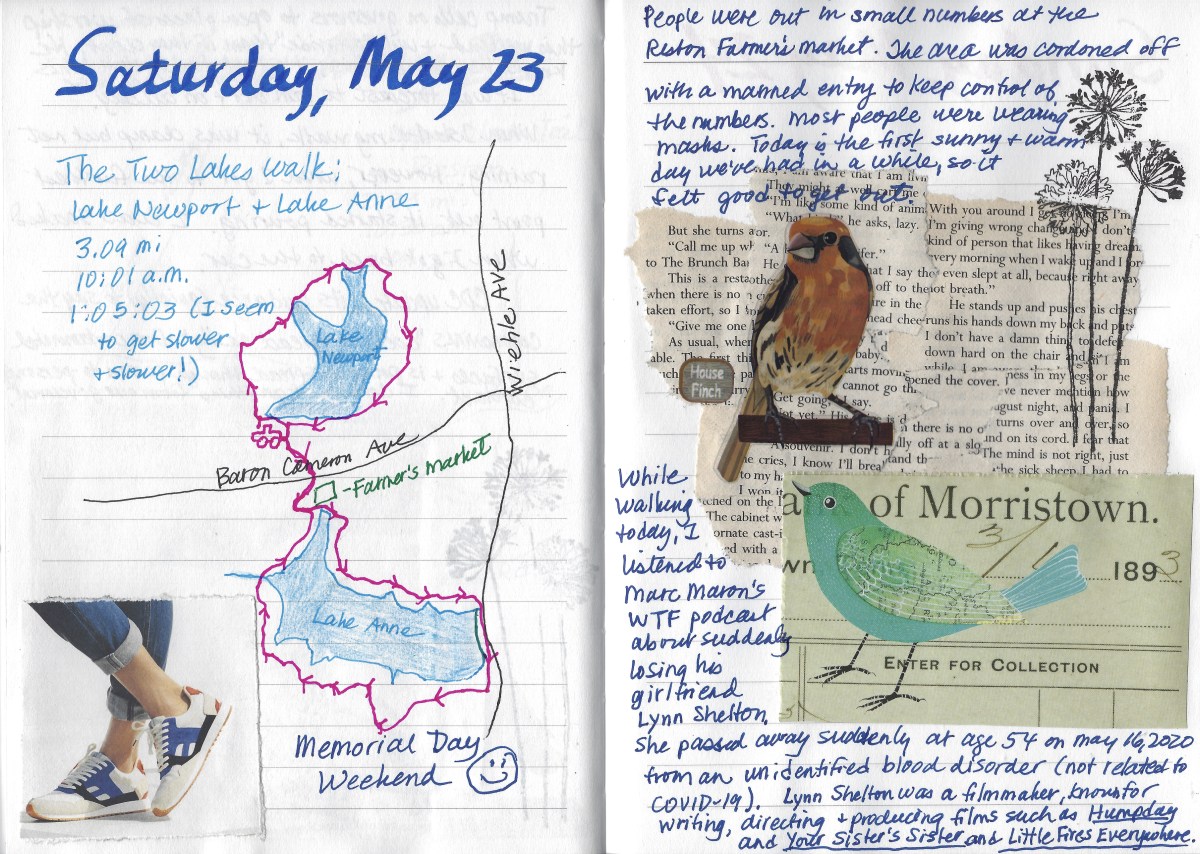 fullsizeoutput_1d6b9