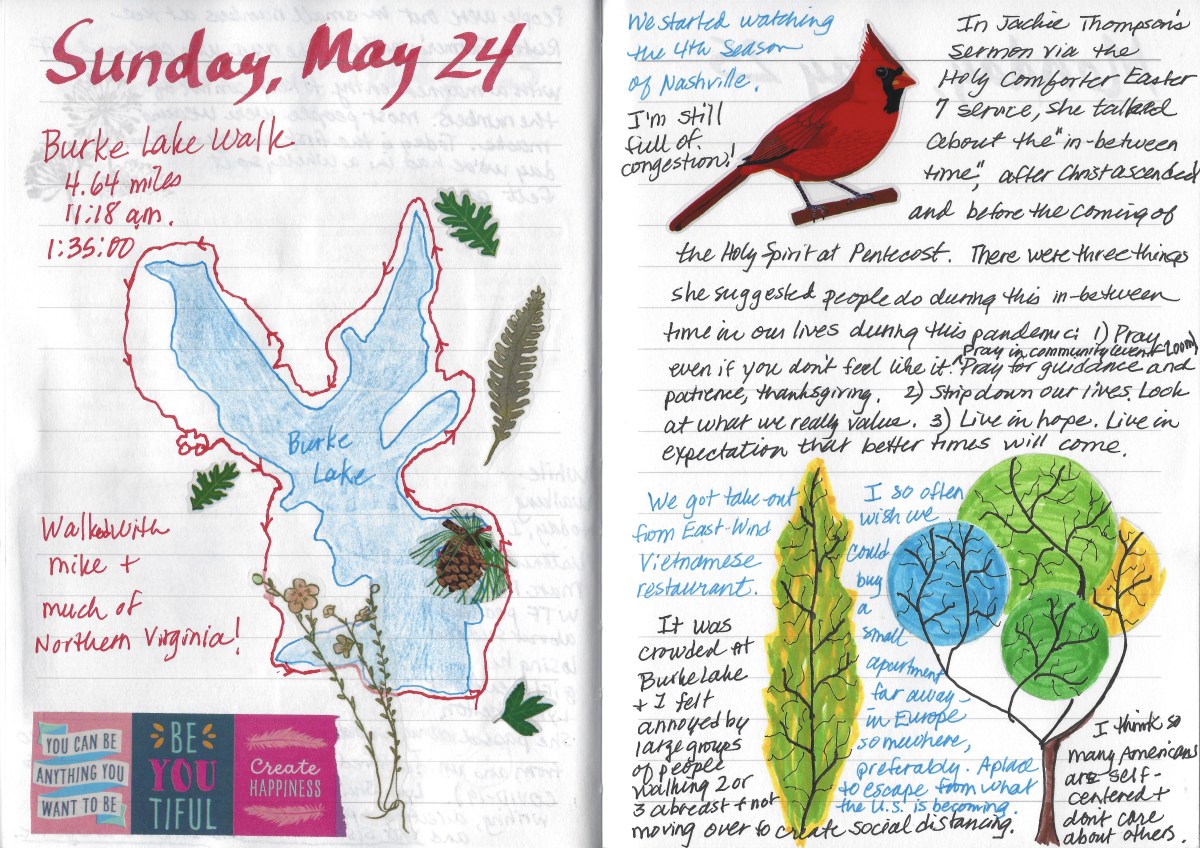 fullsizeoutput_1d6e4