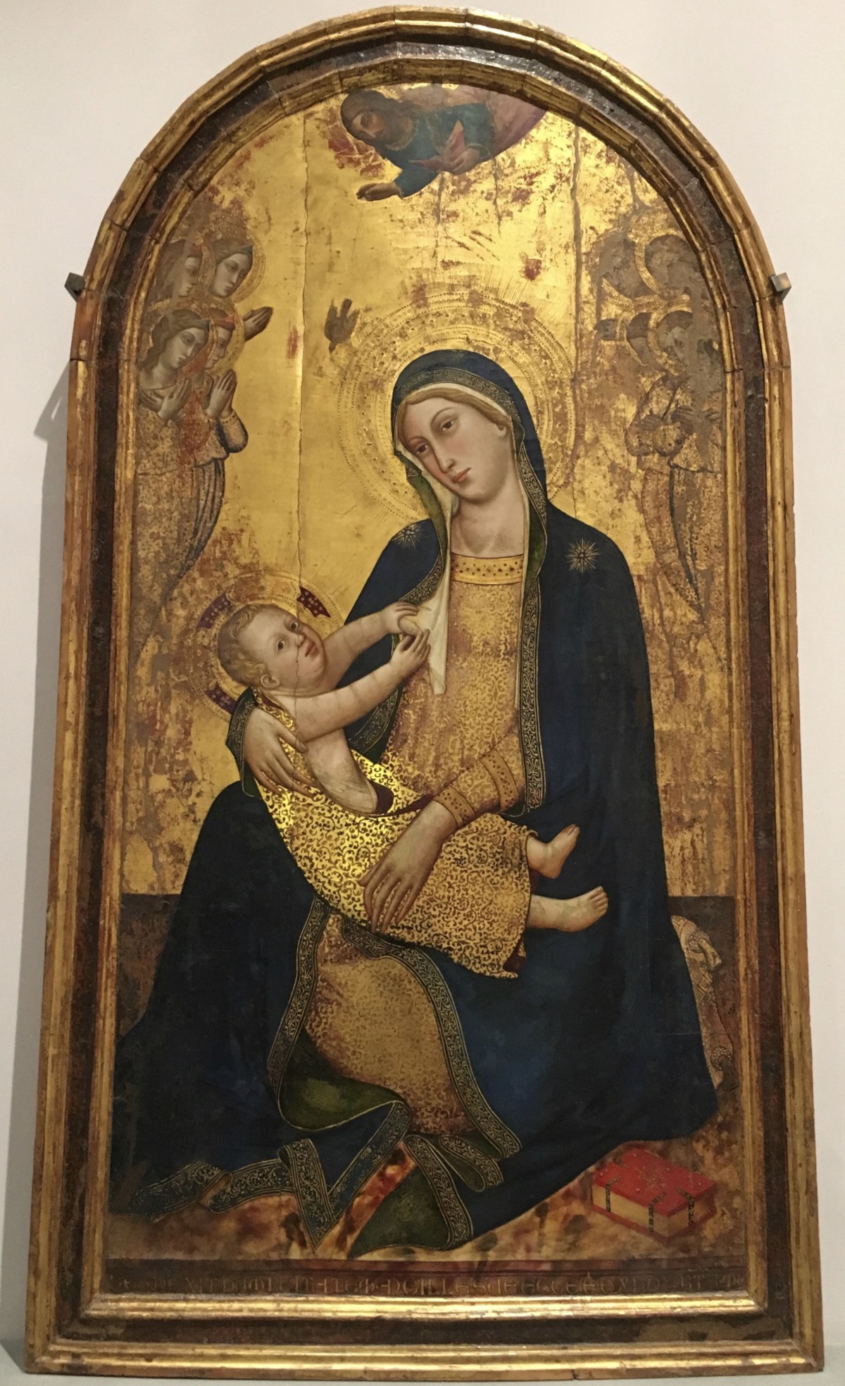 fullsizeoutput_1d6f2