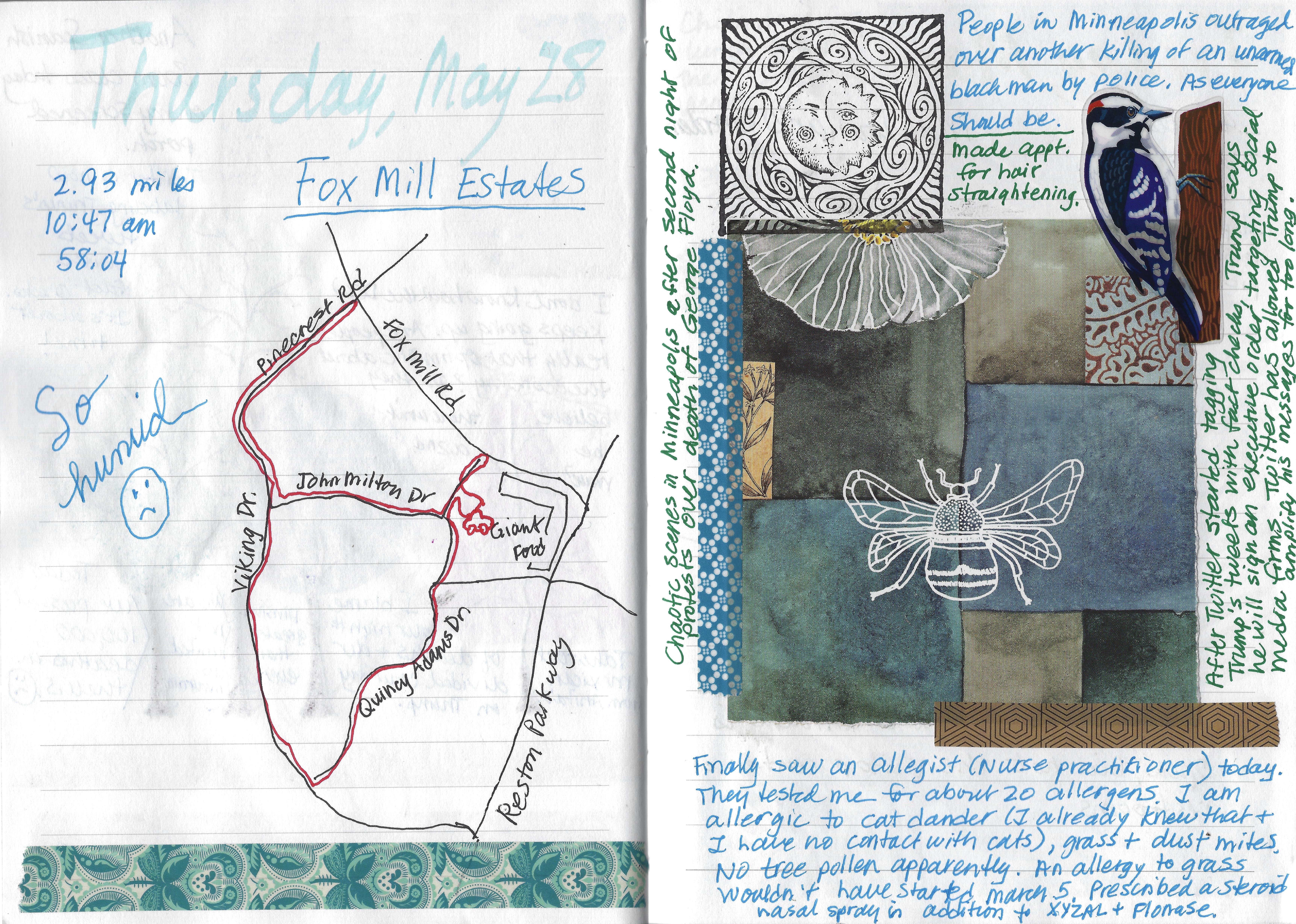 fullsizeoutput_1d78c