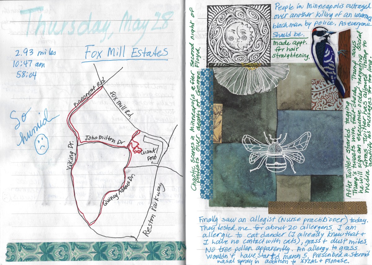 fullsizeoutput_1d78c