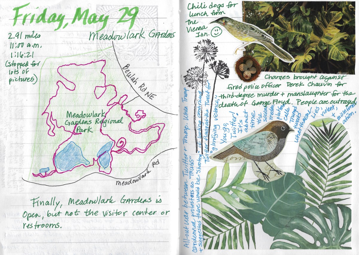 fullsizeoutput_1d78e