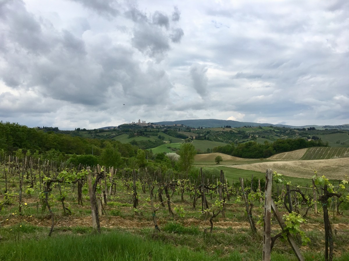 fullsizeoutput_185b3