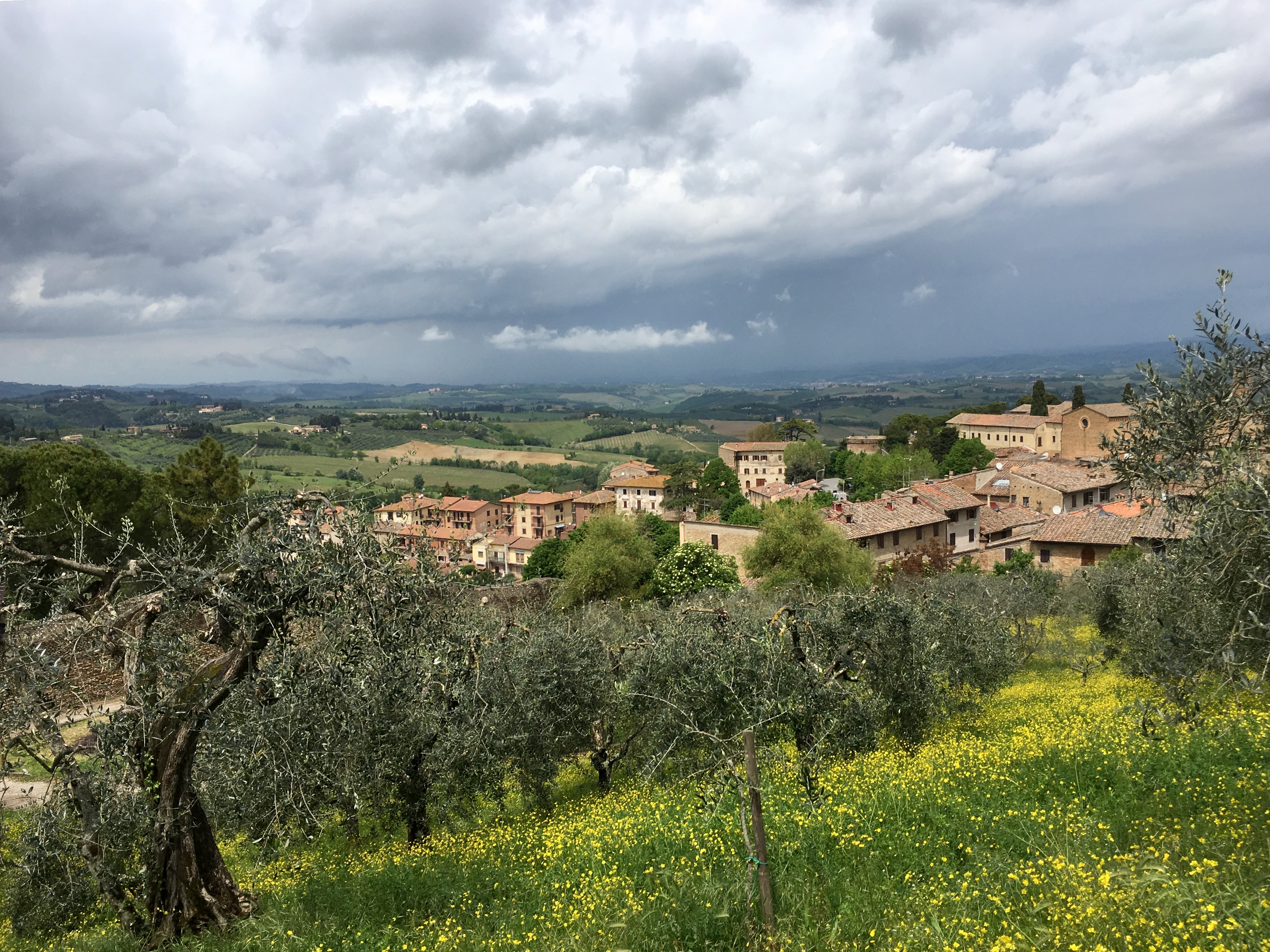 fullsizeoutput_18611