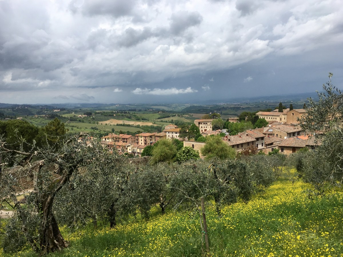 fullsizeoutput_18611