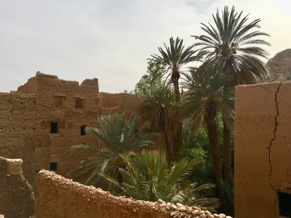 fullsizeoutput_1c175