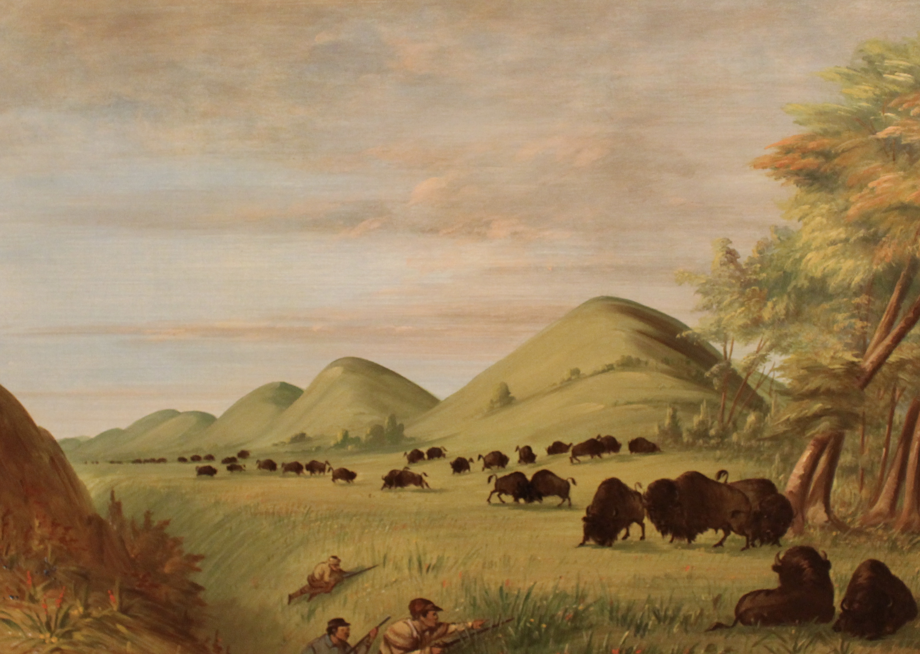 fullsizeoutput_1c304