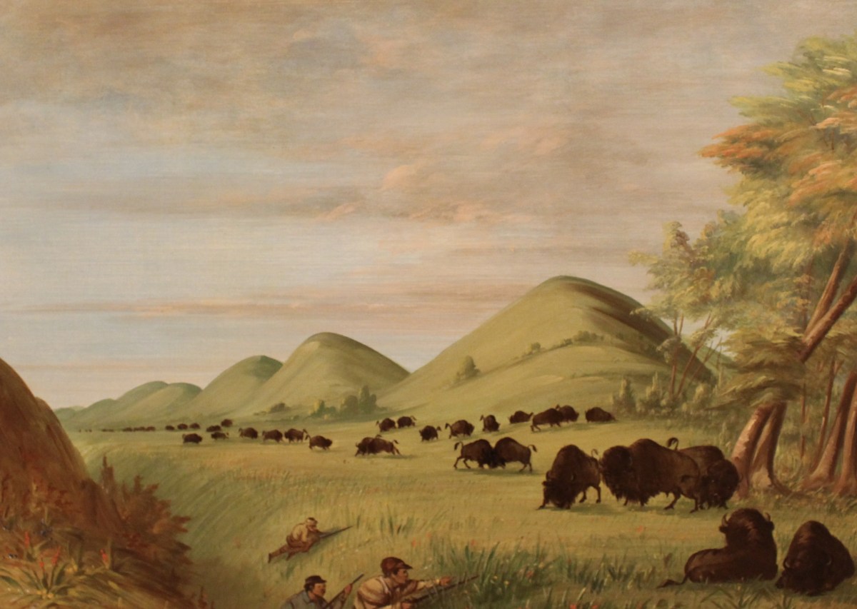 fullsizeoutput_1c304